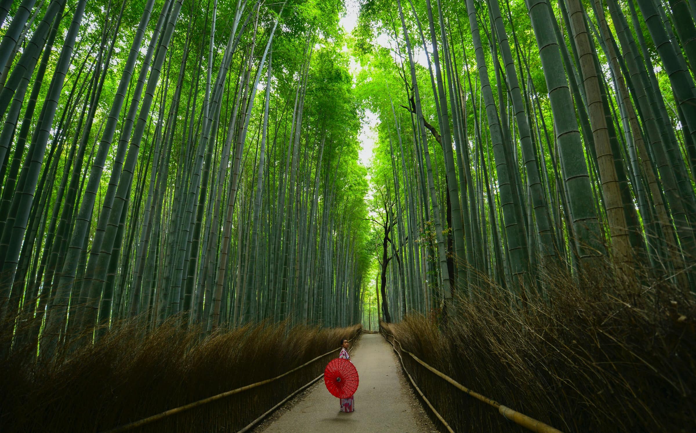 京都の自然を満喫する旅には嵐山の旅館をセレクト