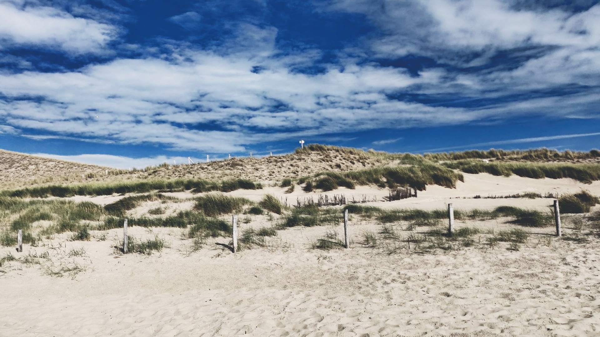 Genieten op het strand van Noord-Holland