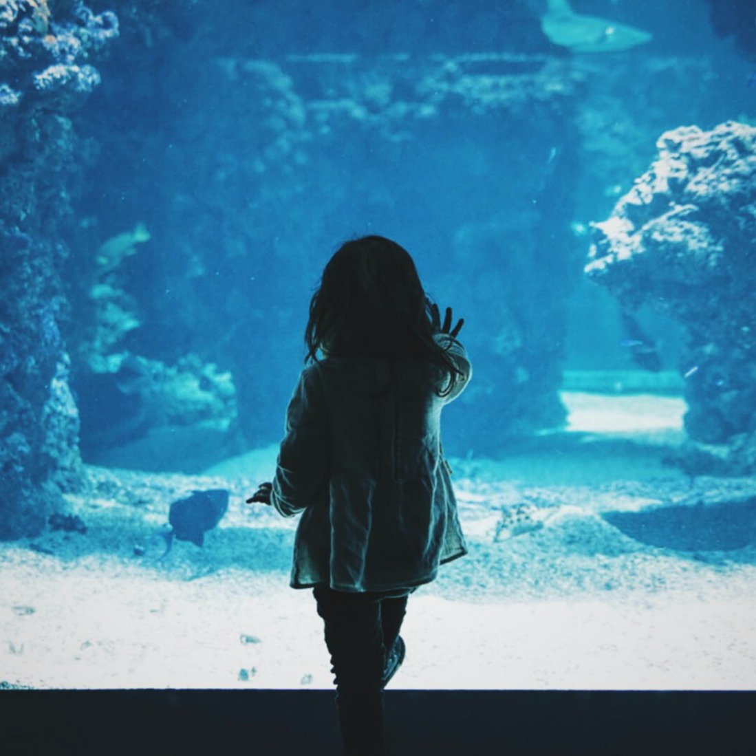 Een meisje met haar hand op de wand van een aquarium, proberend aandacht te trekken van de vissen 
