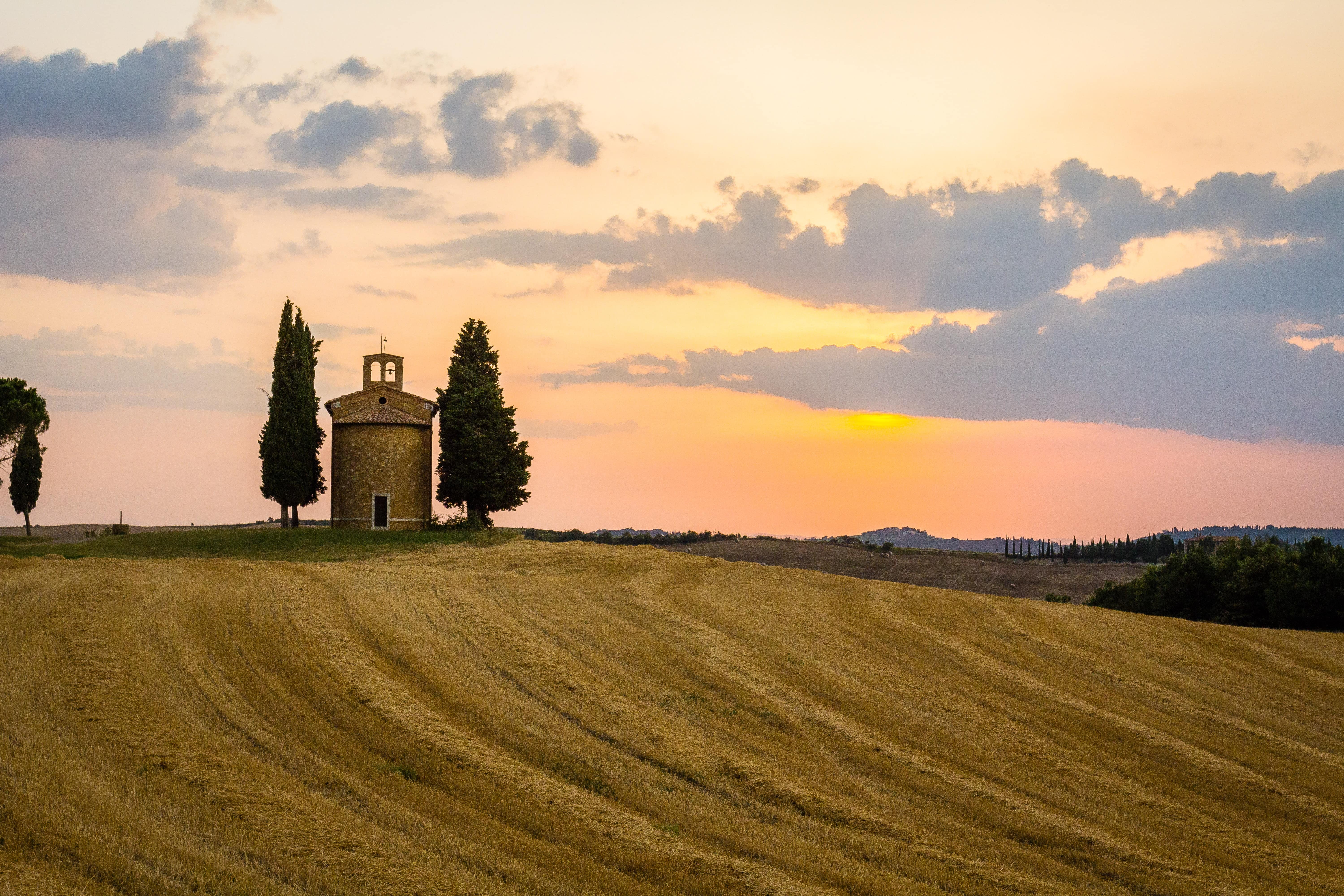 Stock image - Trees on a hill at sunset / sunrise - Val d'Orcia, Pienza, Tuscany, Italy - Photo by Simon Rae on Unsplash