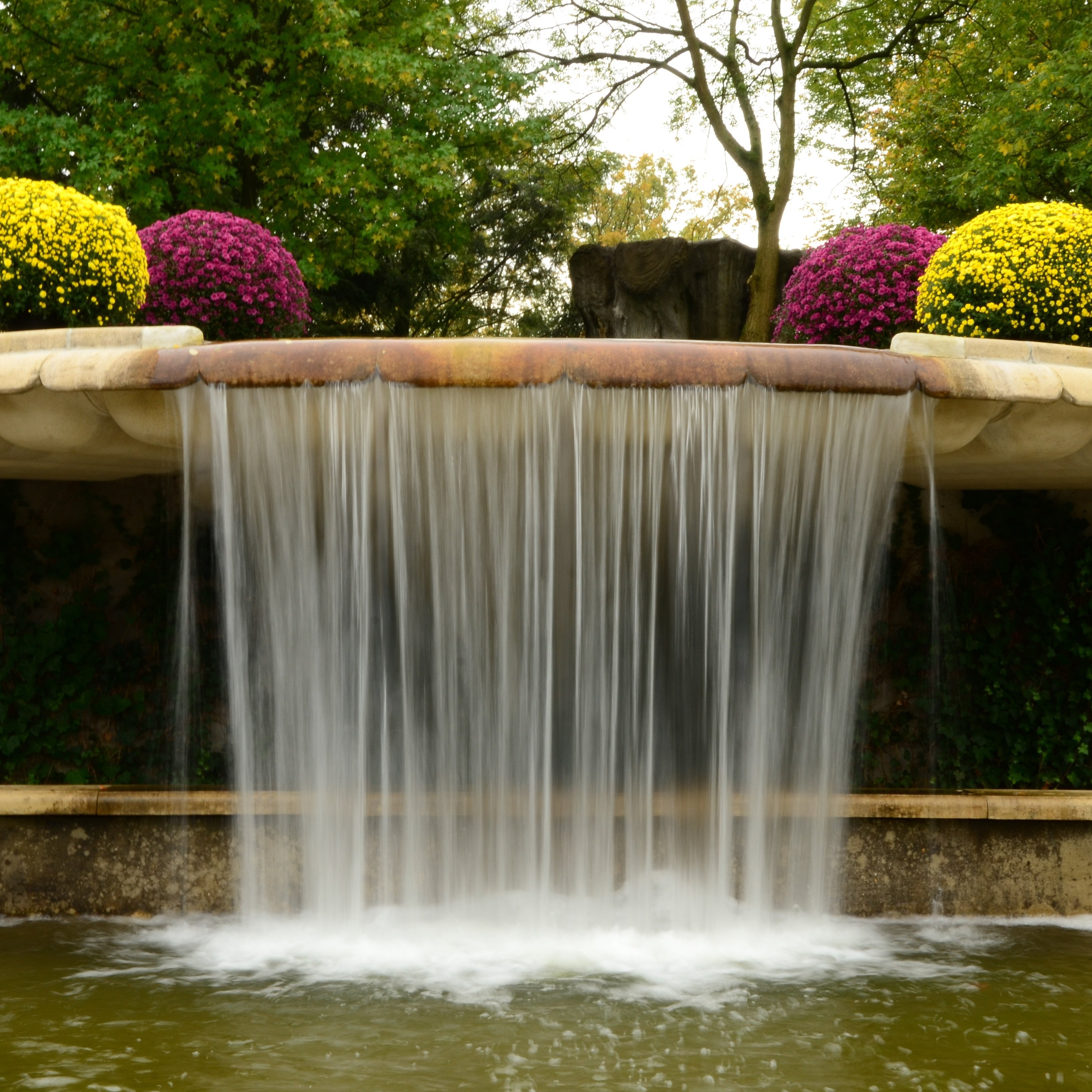 Fontein met bloeiende planten 