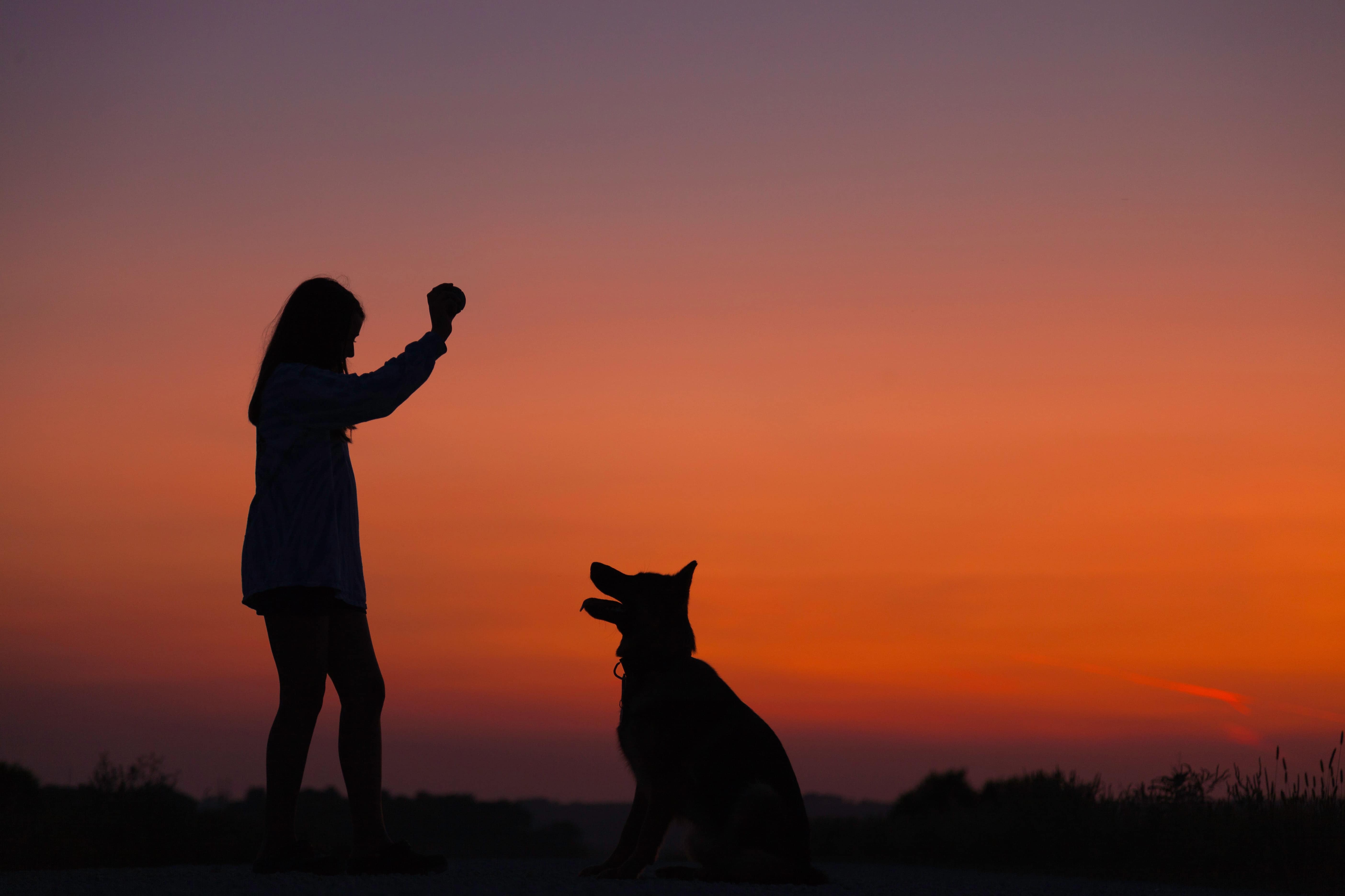 Stock image - family vacation - Woman and pet dog at sunset on holiday - Photo by Wyatt Ryan