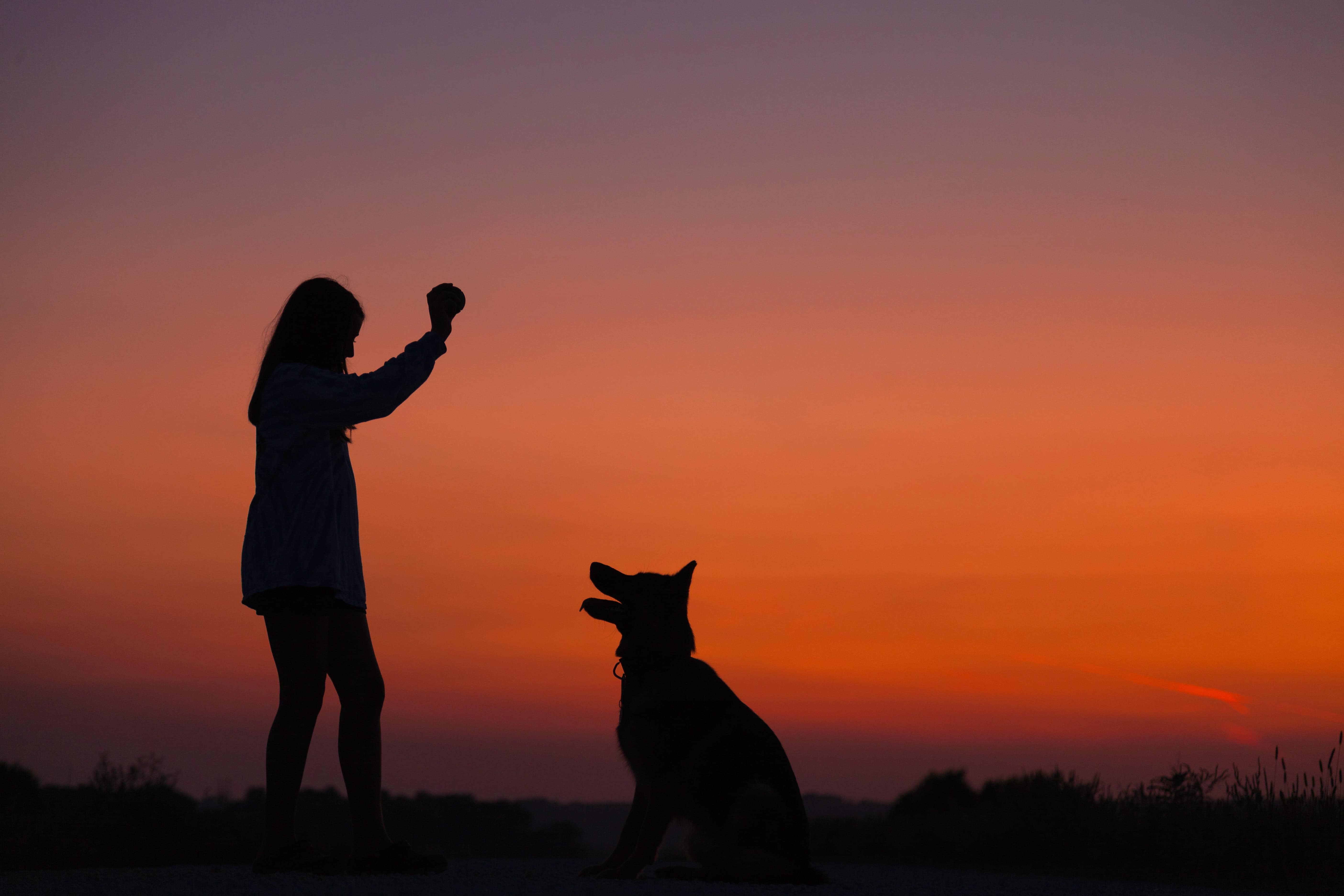 Semester med din hund – Östersjön