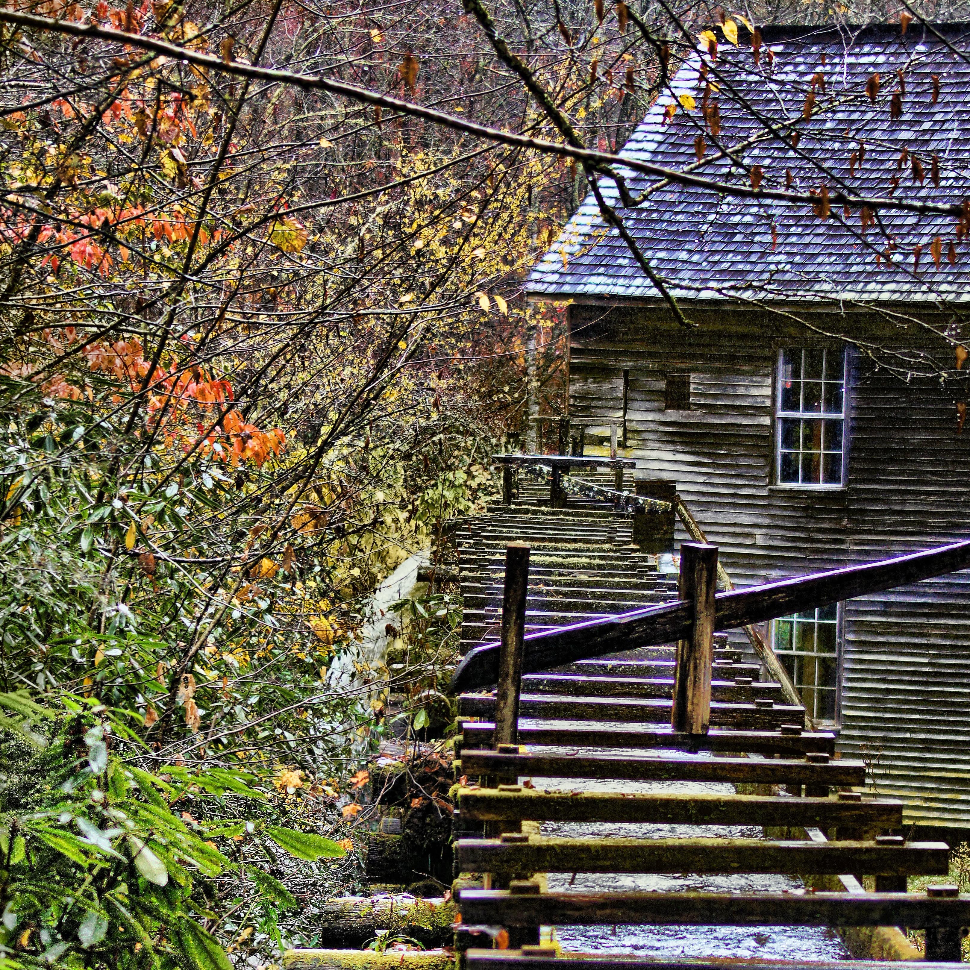 Old wooden lodge in the woods