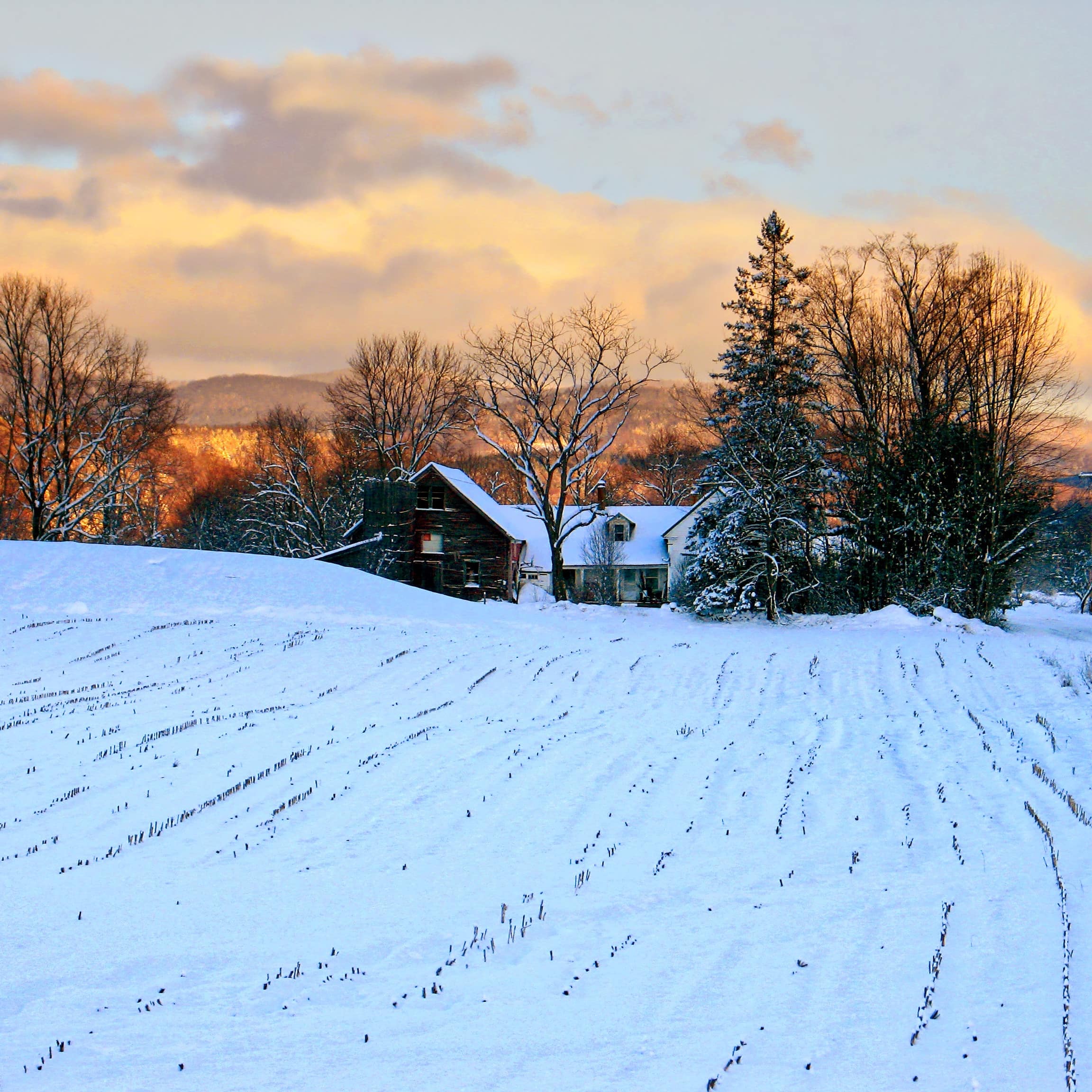 Vermont farm at dawn, surrounded by snow