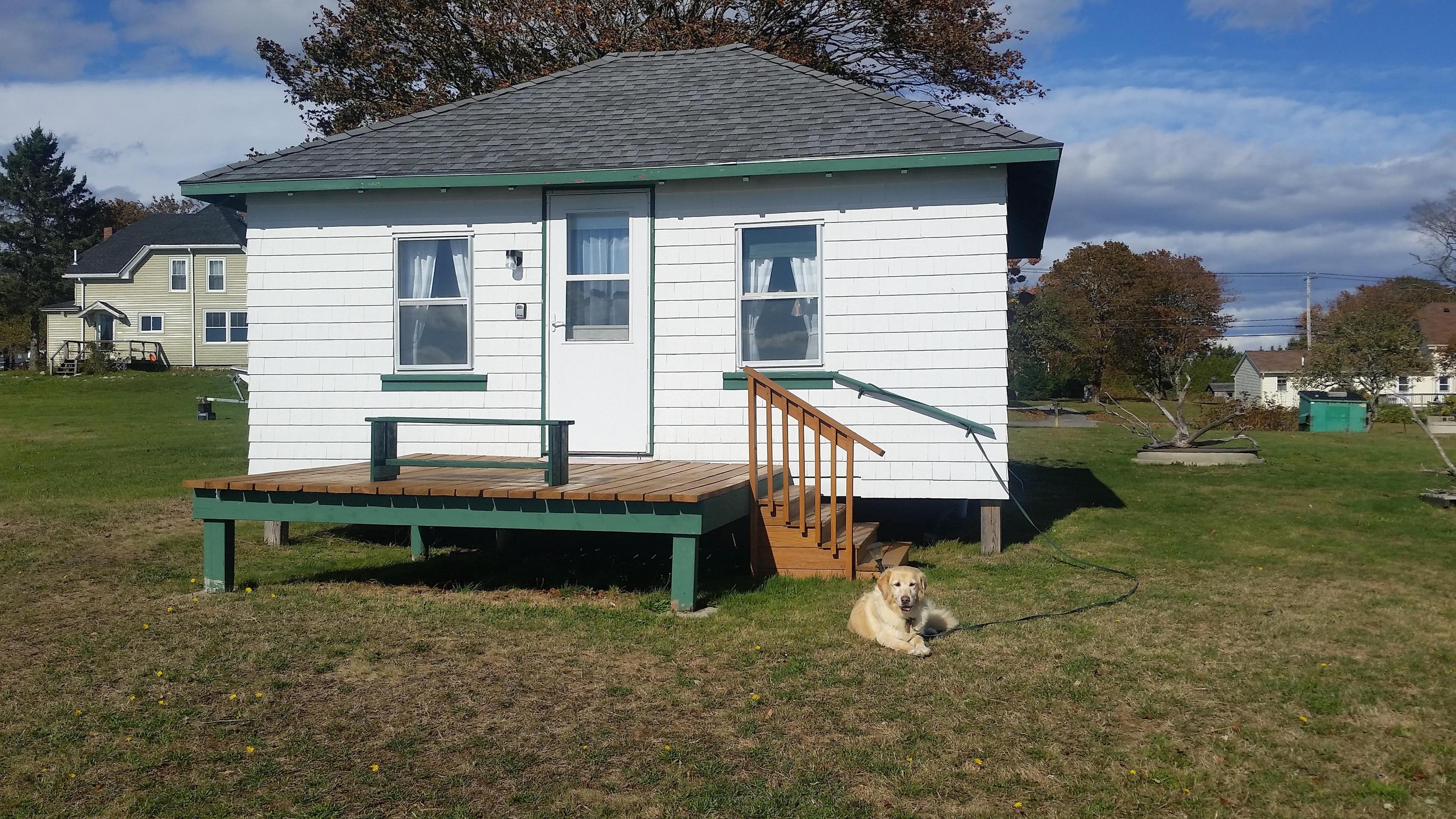 A leashed dog sitting in the sun in front of a small cottage