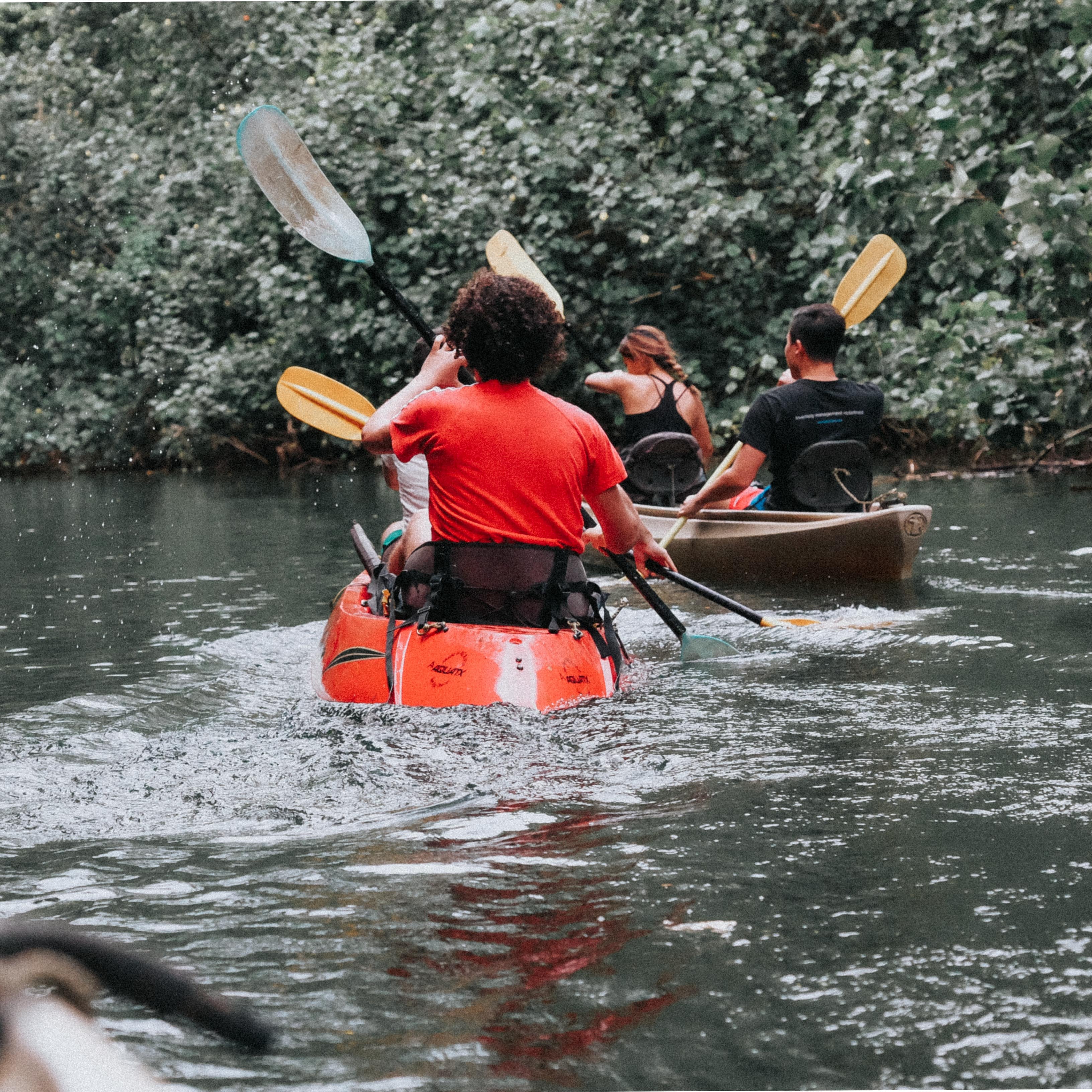 4 people kayaking in swamp waters