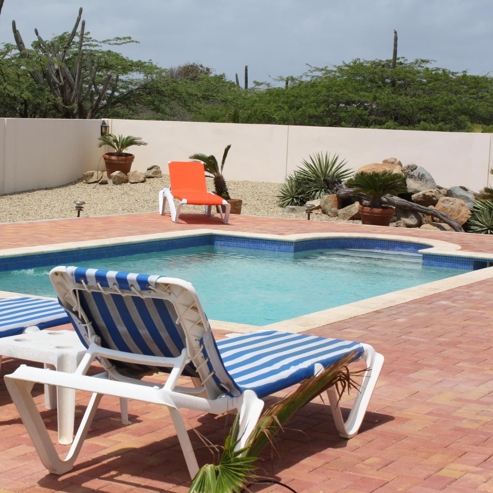 A swimming pool surrounded by terracotta tiles and sunbeds in Aruba