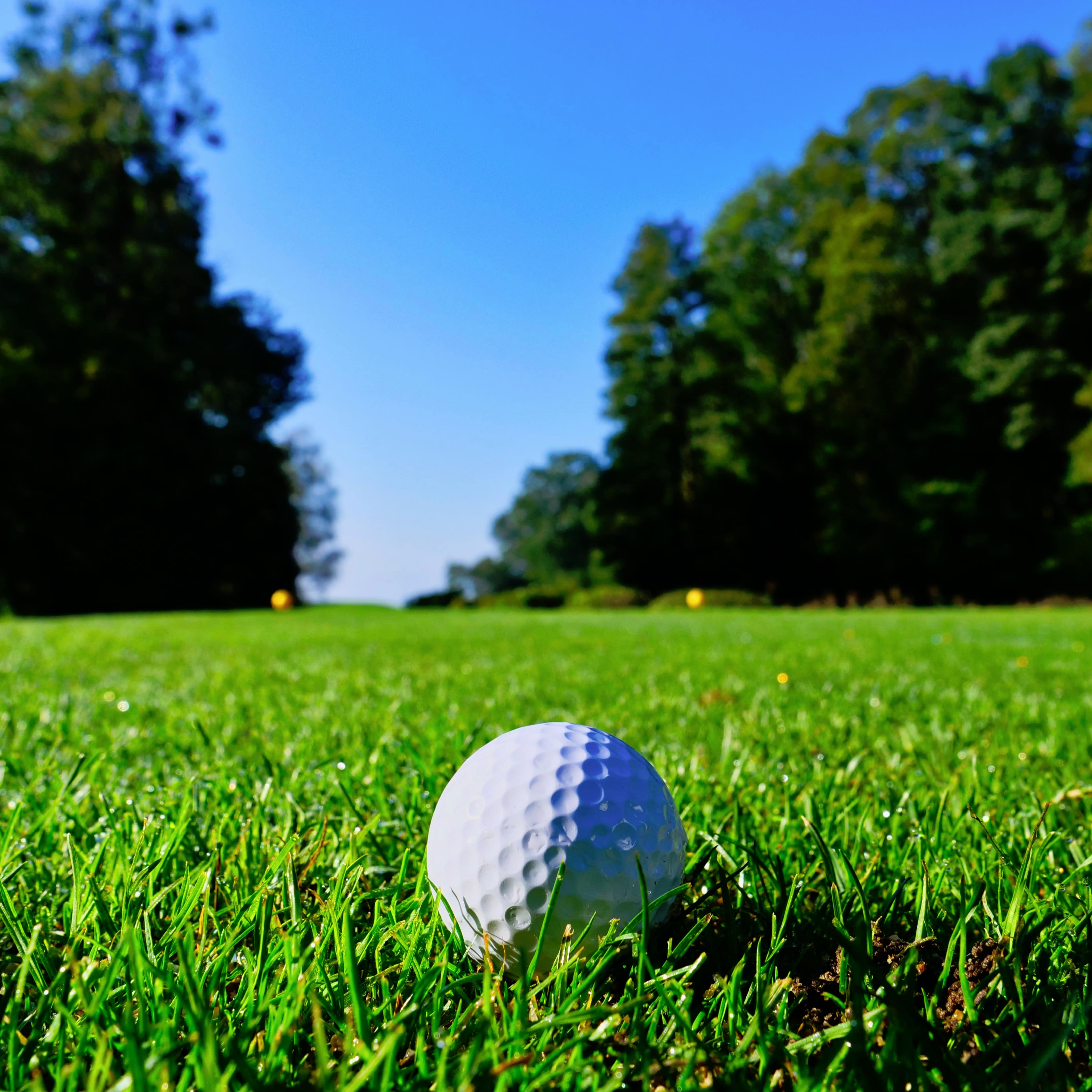 A golf ball on a grassy field, with trees in the background.