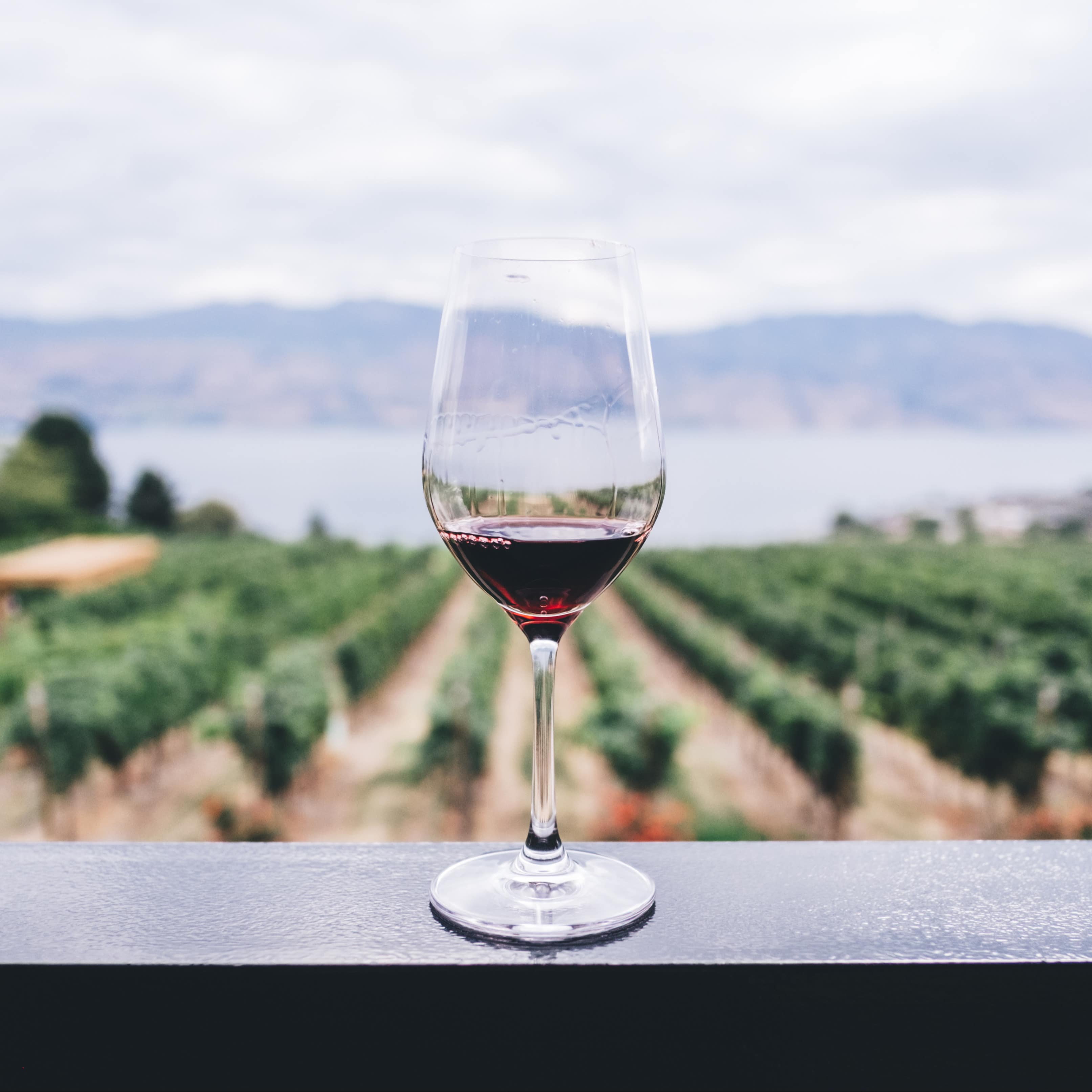 Top 5 Wine Washington Wine Regions