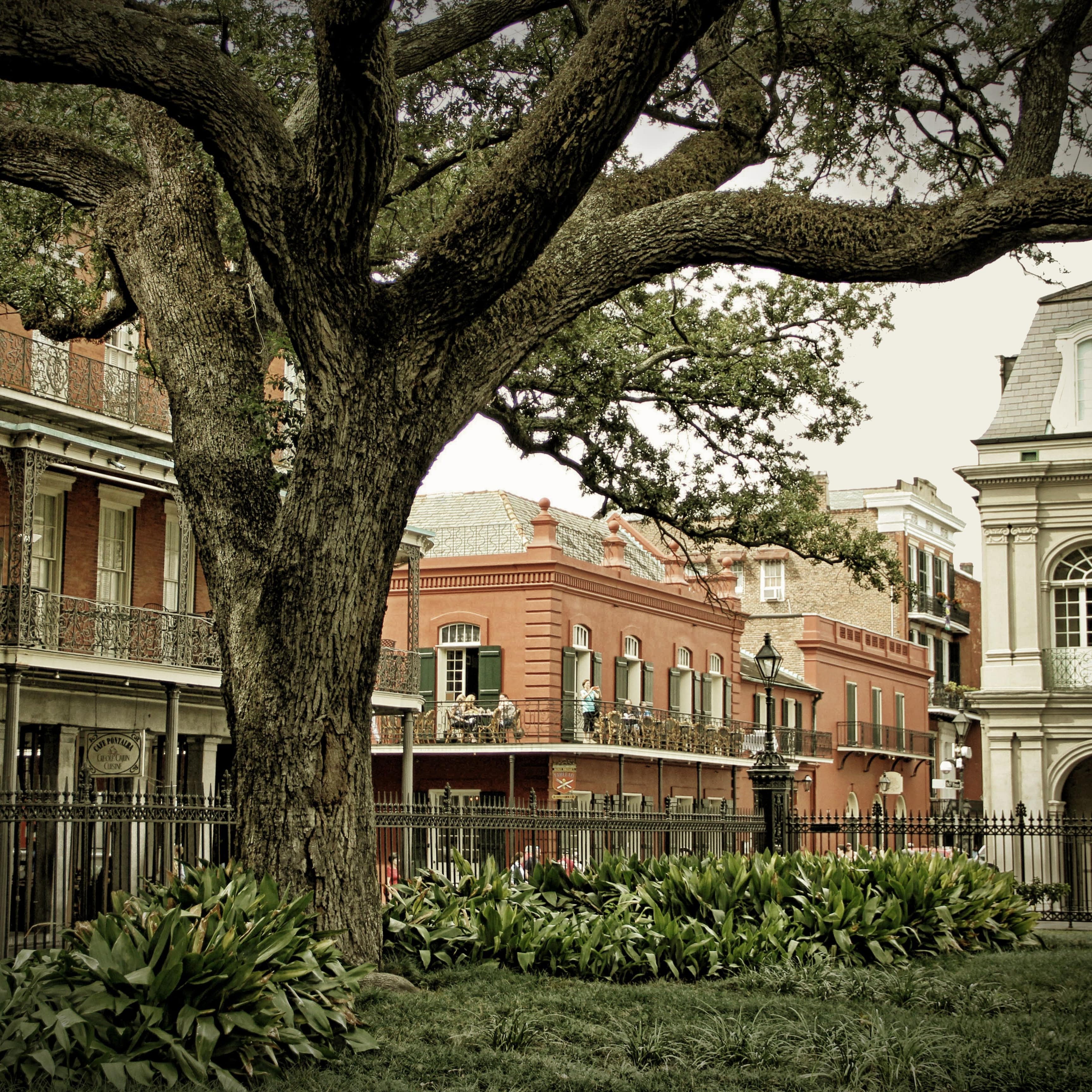 Stately buildings in the historic French Quarter of New Orleans
