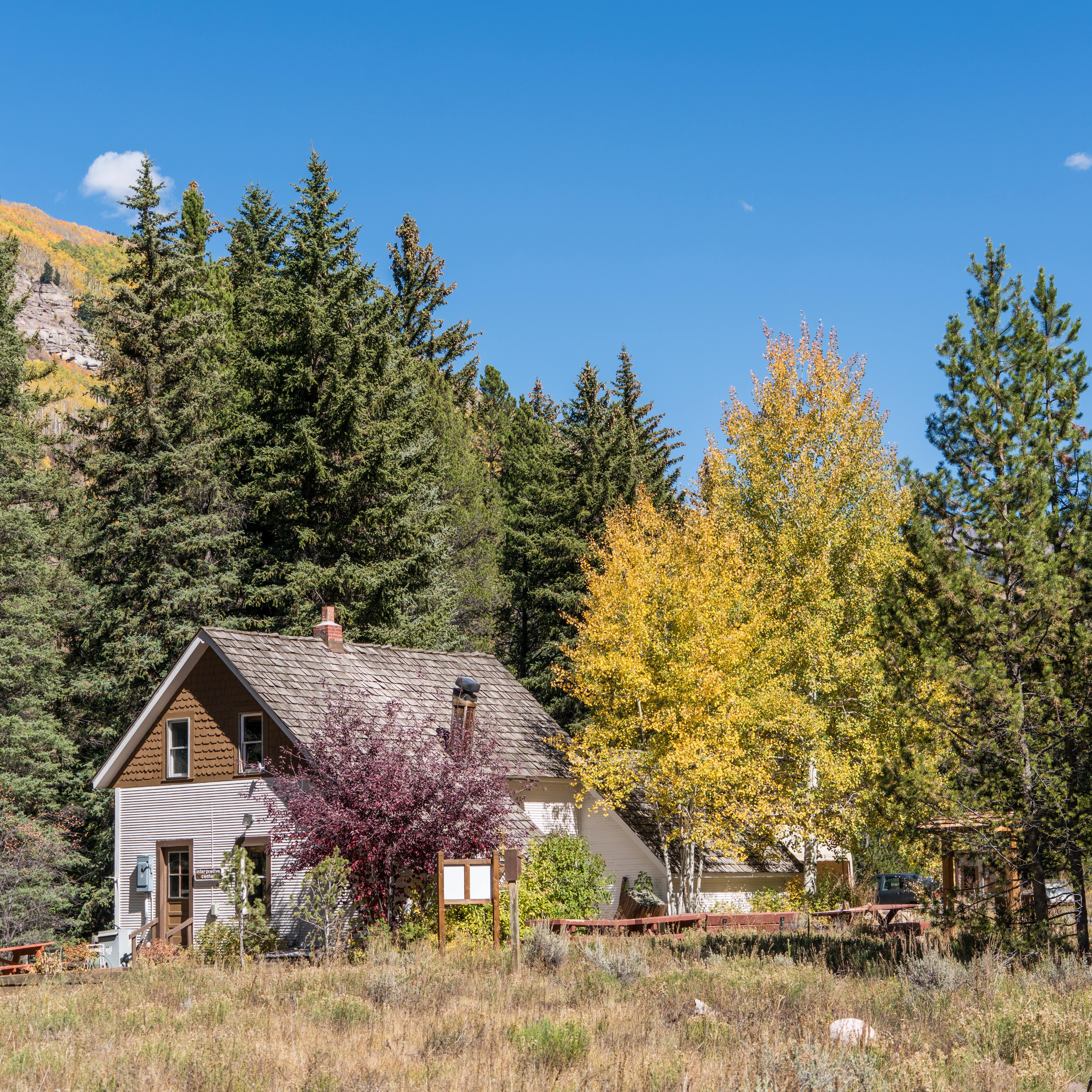 A cabin surrounded by trees in the mountains