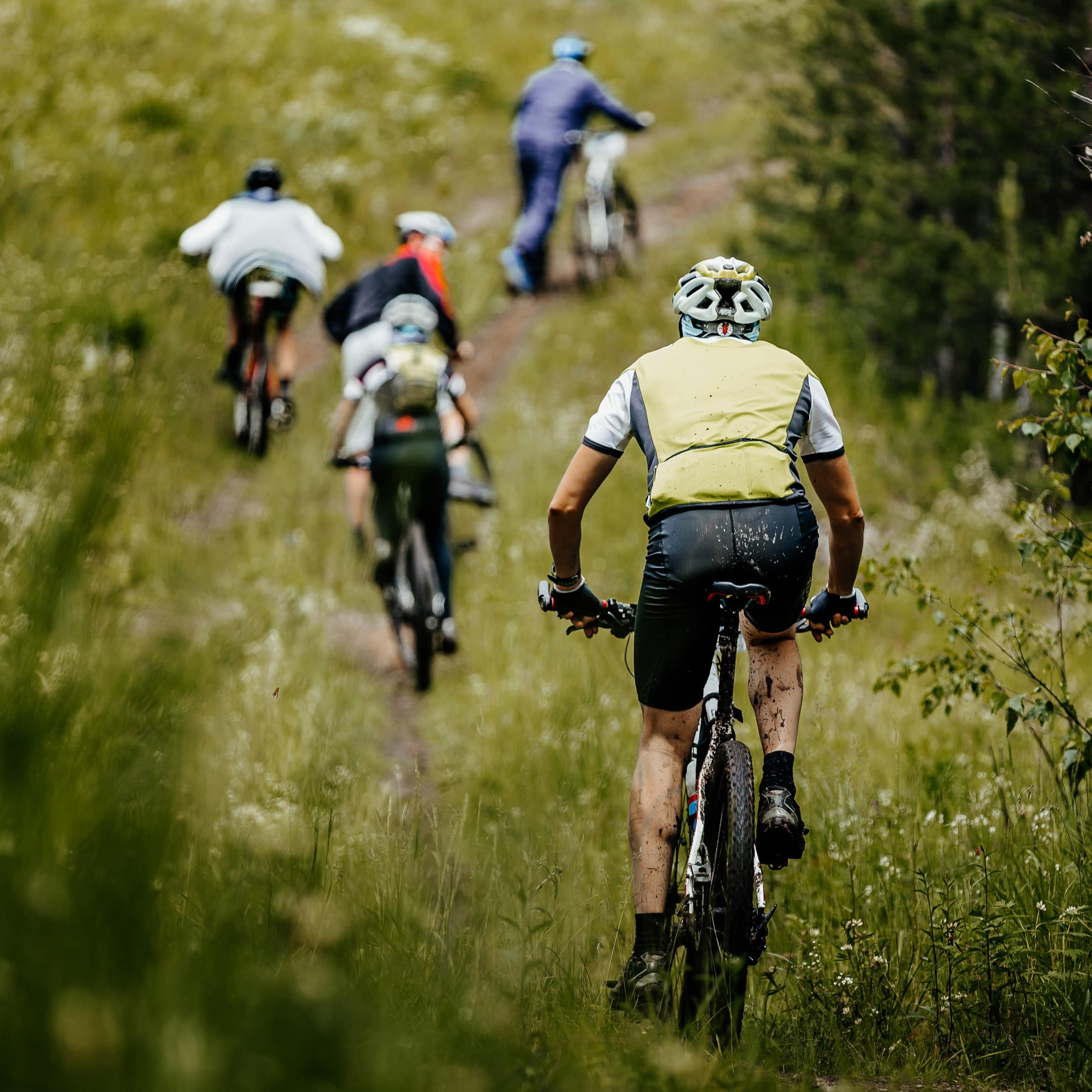 The backs of group of men cyclists on mountain bike trails