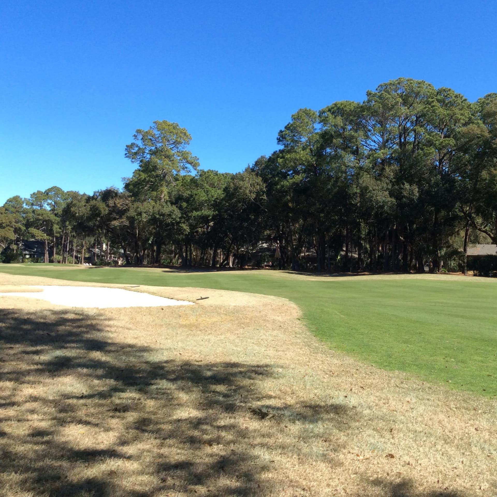 A tree-lined fairway with a sand trap.