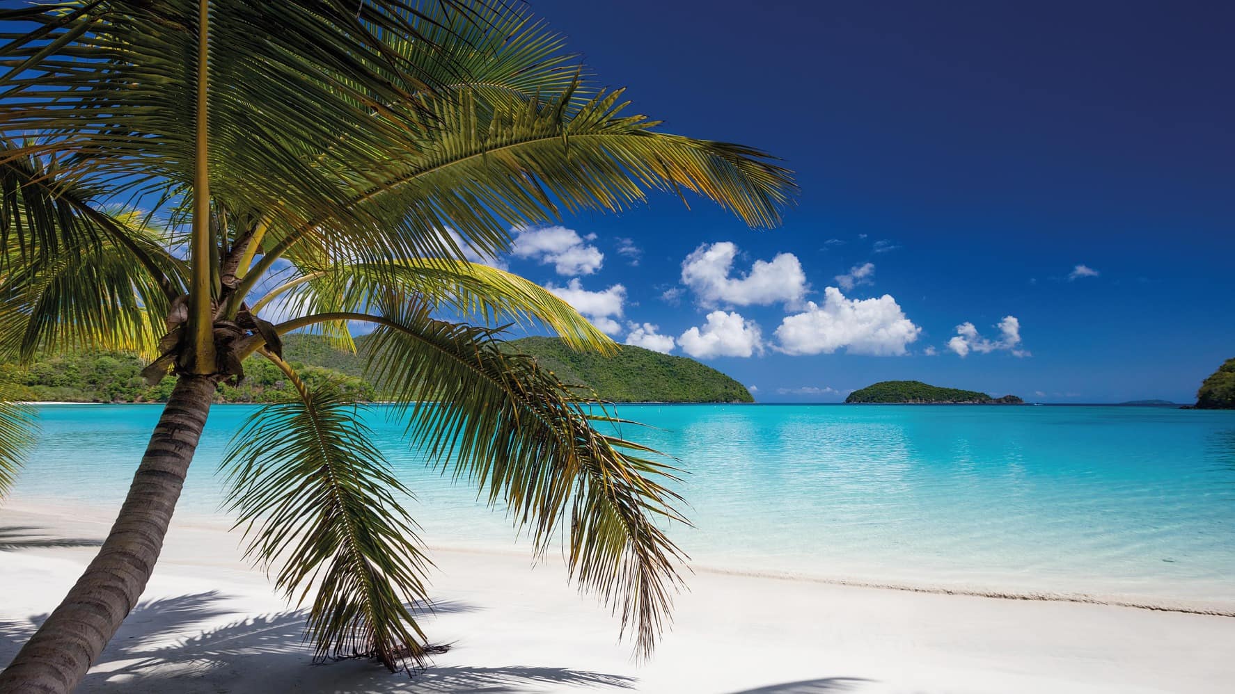 Pack your swimsuit, you’re going on a cheap tropical vacation