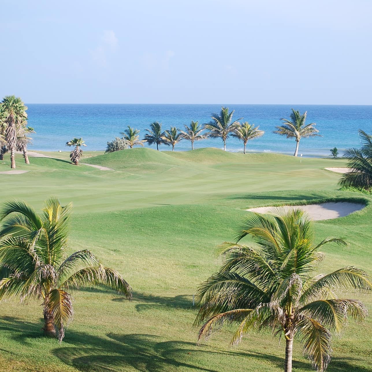A golf resort with palm trees by the sea