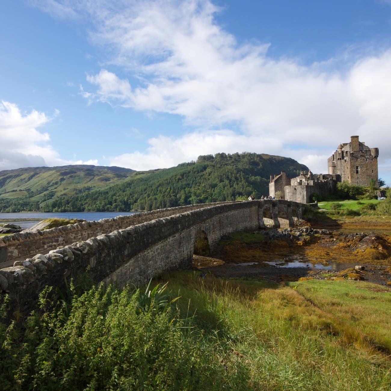 A castle and an old bridge cross a river by green hills in Ireland
