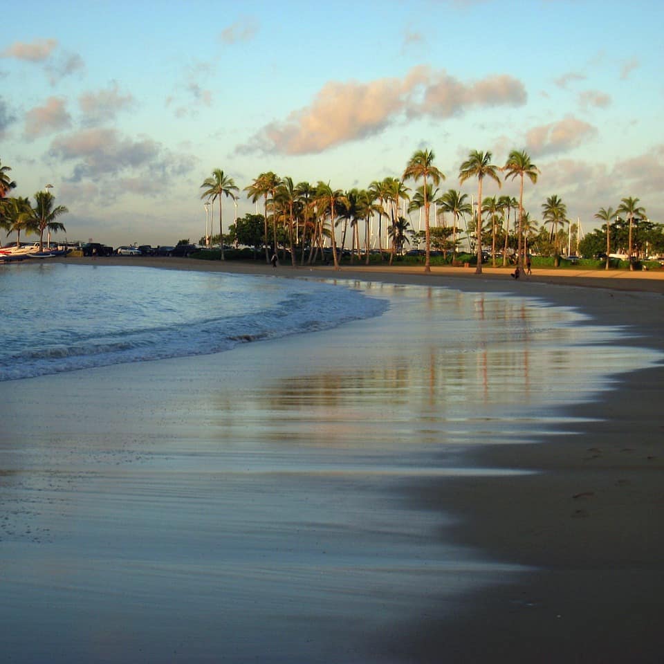 Palm trees line Waikiki Beach in Hawaii