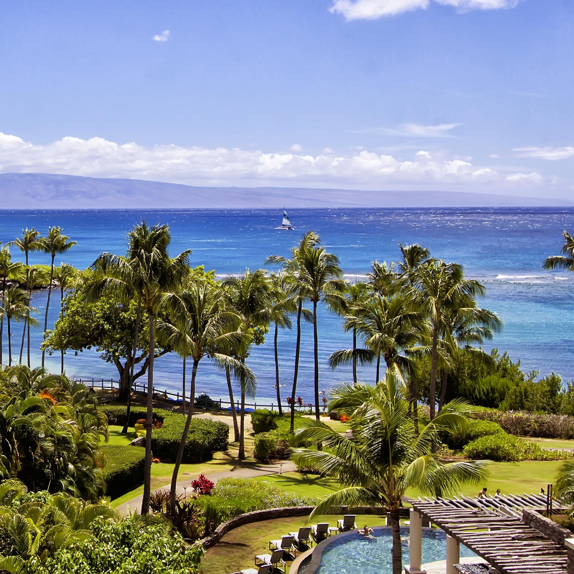 A gorgeous vista of tropical beachfront, palms, and a swimming pool, taken from a Kapalua villa