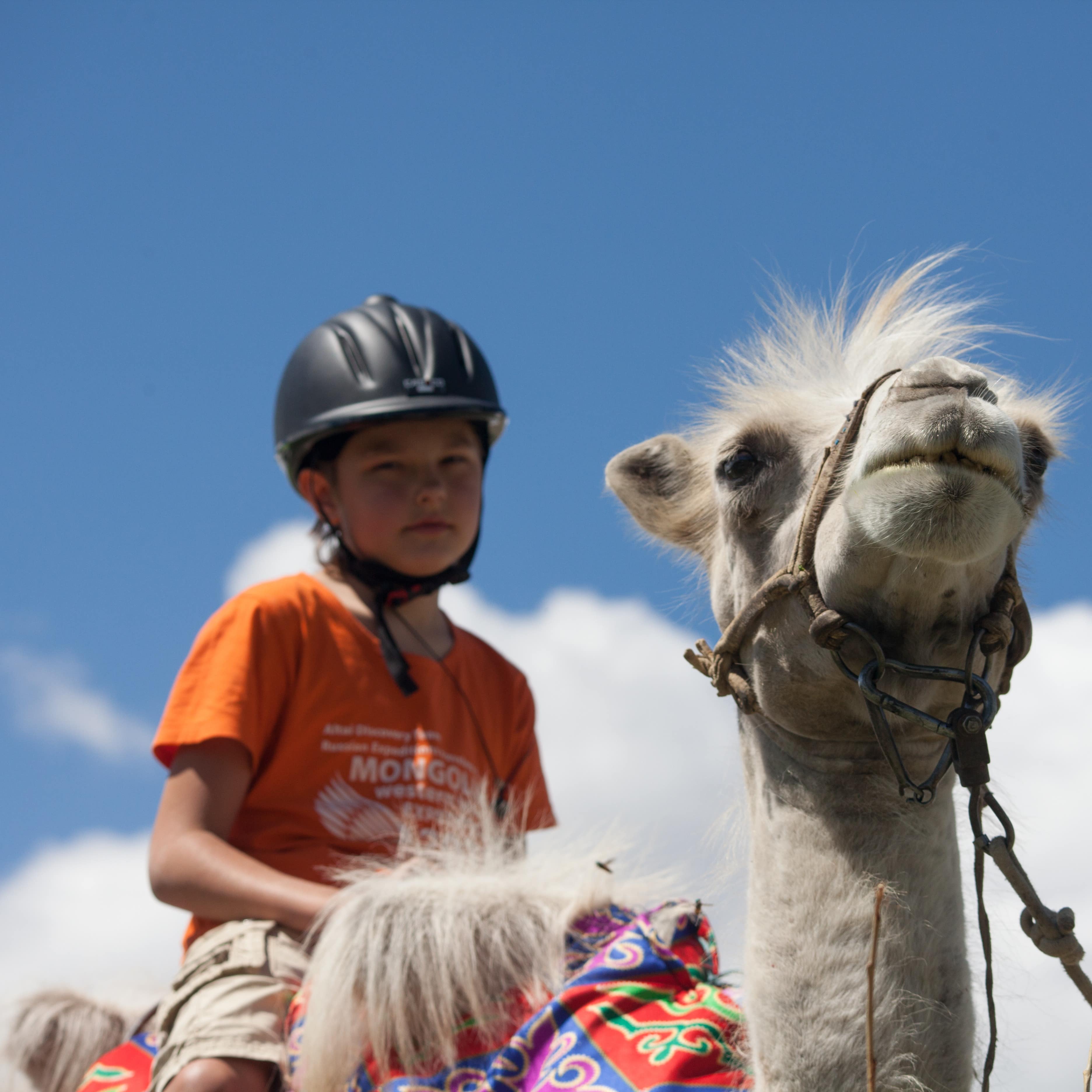 Close-up of child riding a camel