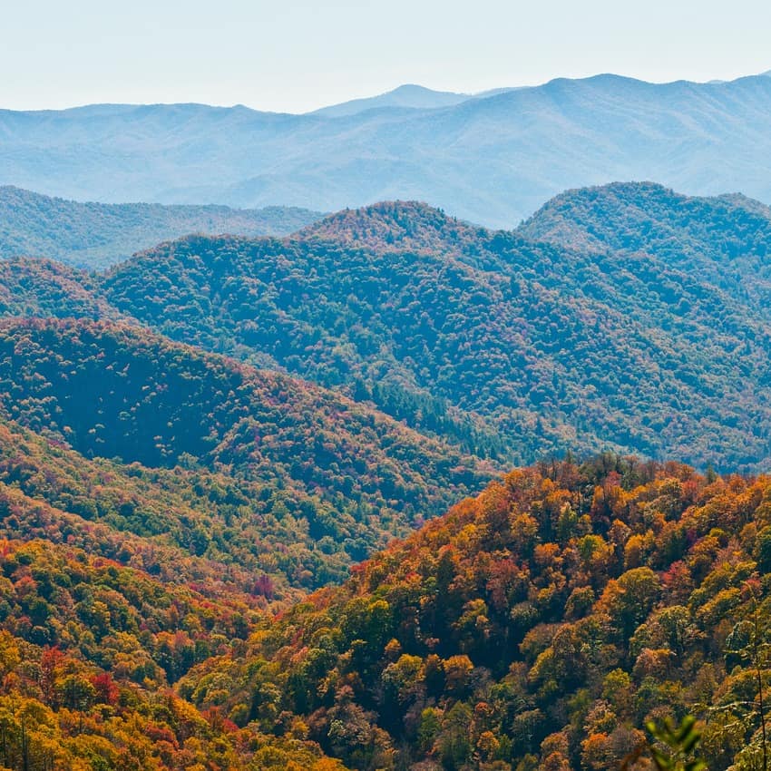 A shot of the wooded valleys of Appalachia, with forests tinted with yellow, red, and green