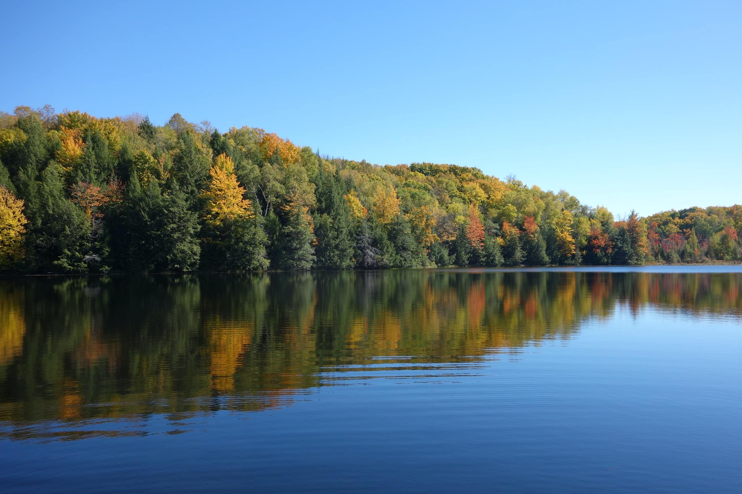 Photo of trees turning different colors along the edge of a calm lake.