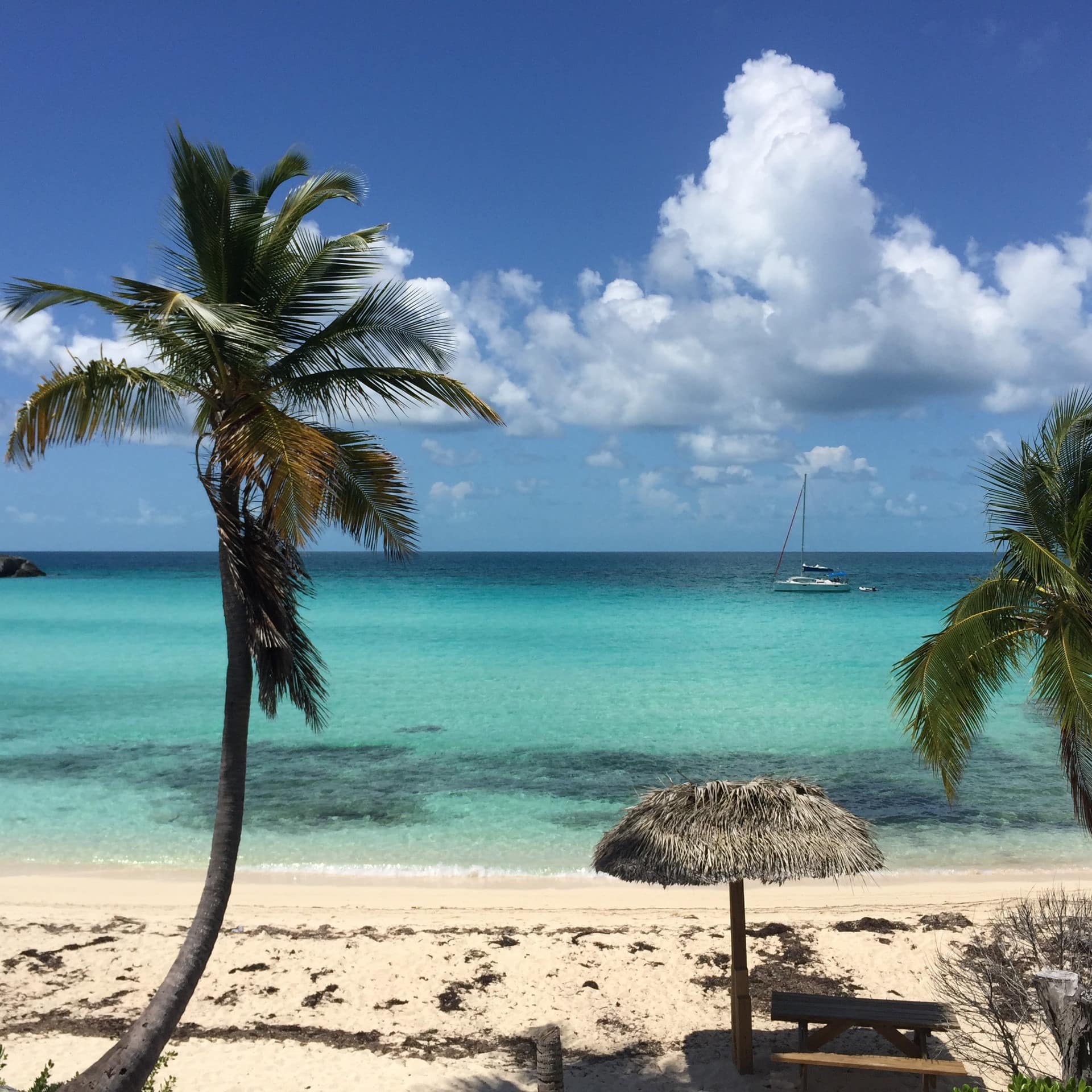 The white sands, windblown palm trees, and turquoise waters of Eleuthera island in the Bahamas