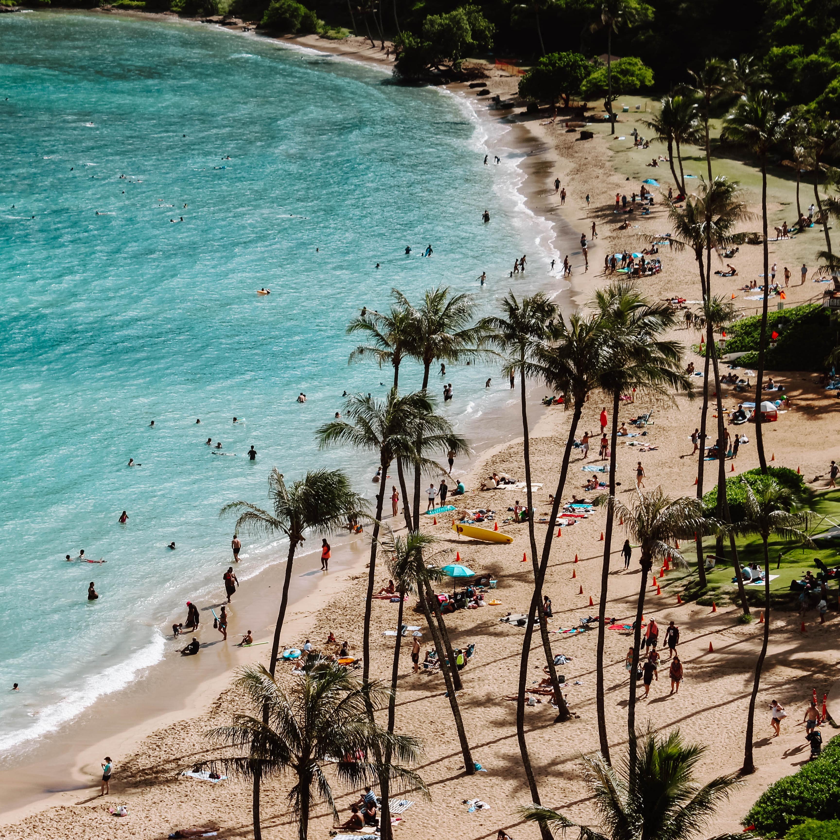 Visitors relax on a sandy beach surrounded by palm trees
