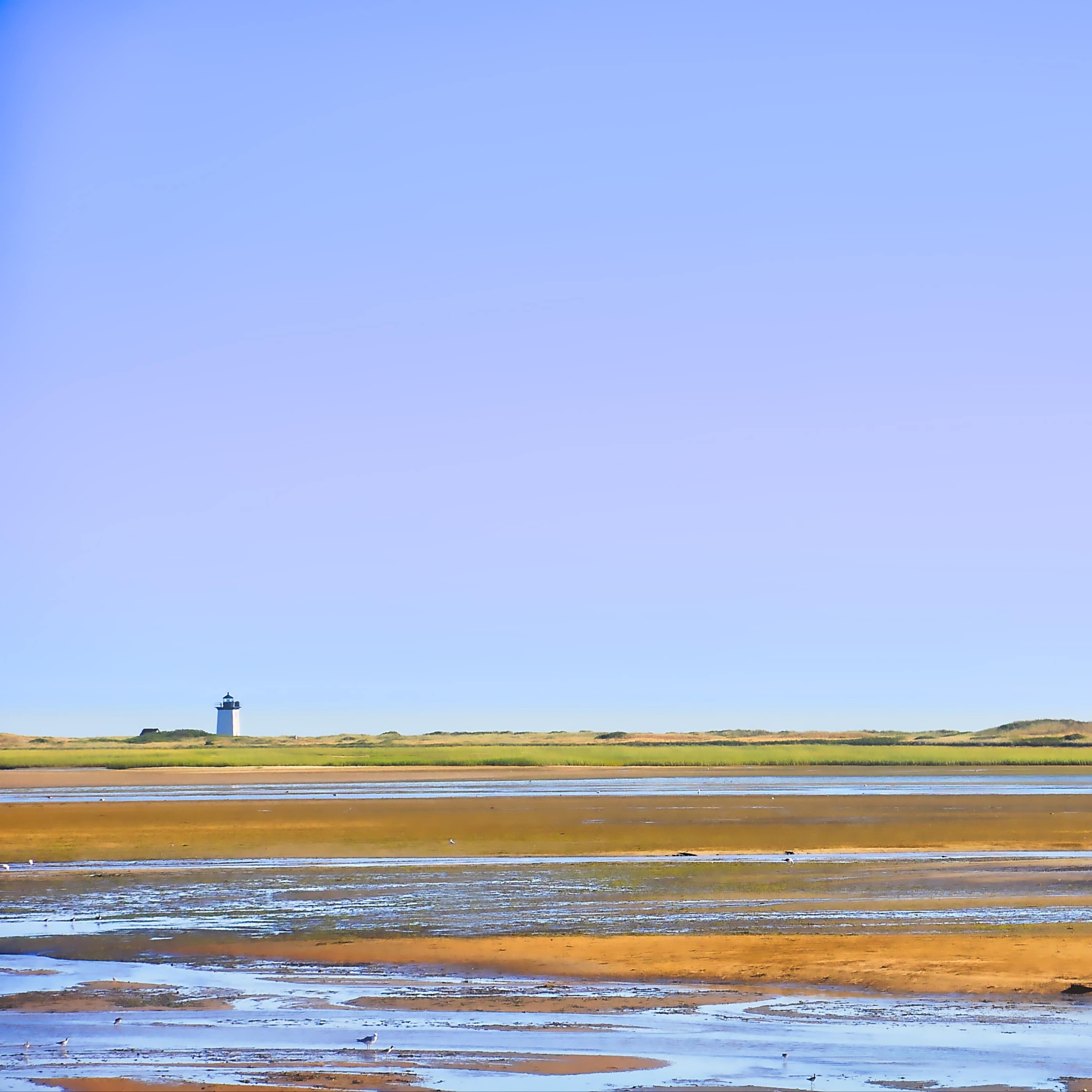 Cape Cod's sandy coastline at low tide, with a lighthouse in the distance