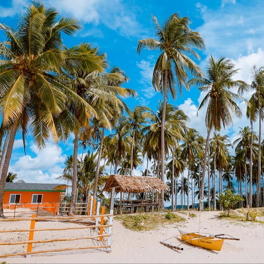 A beach cottage sits on a tropical beach with high palm trees and a catamaran boat