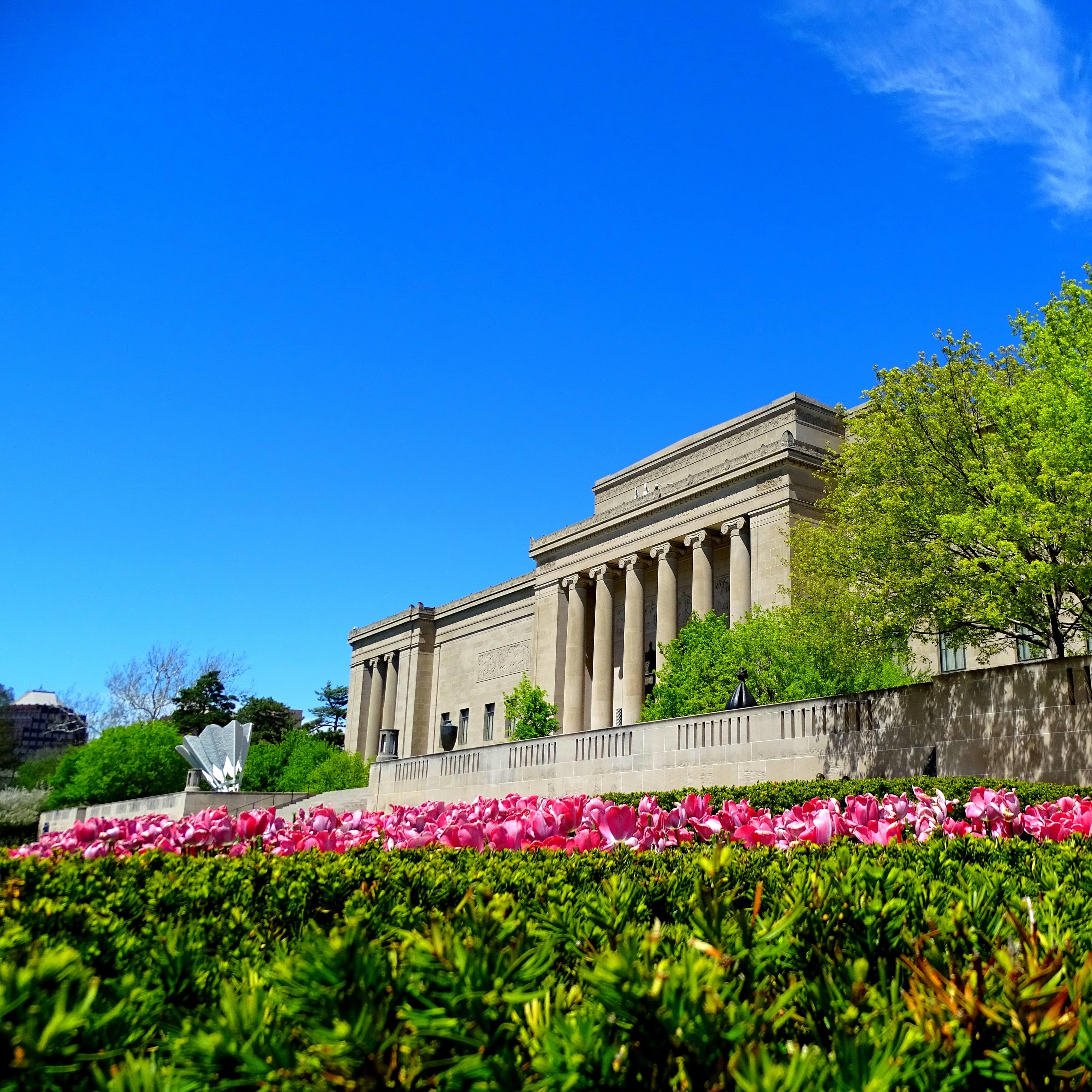 The Nelson-Atkins Museum of Art with greenery and pink flowers in foreground