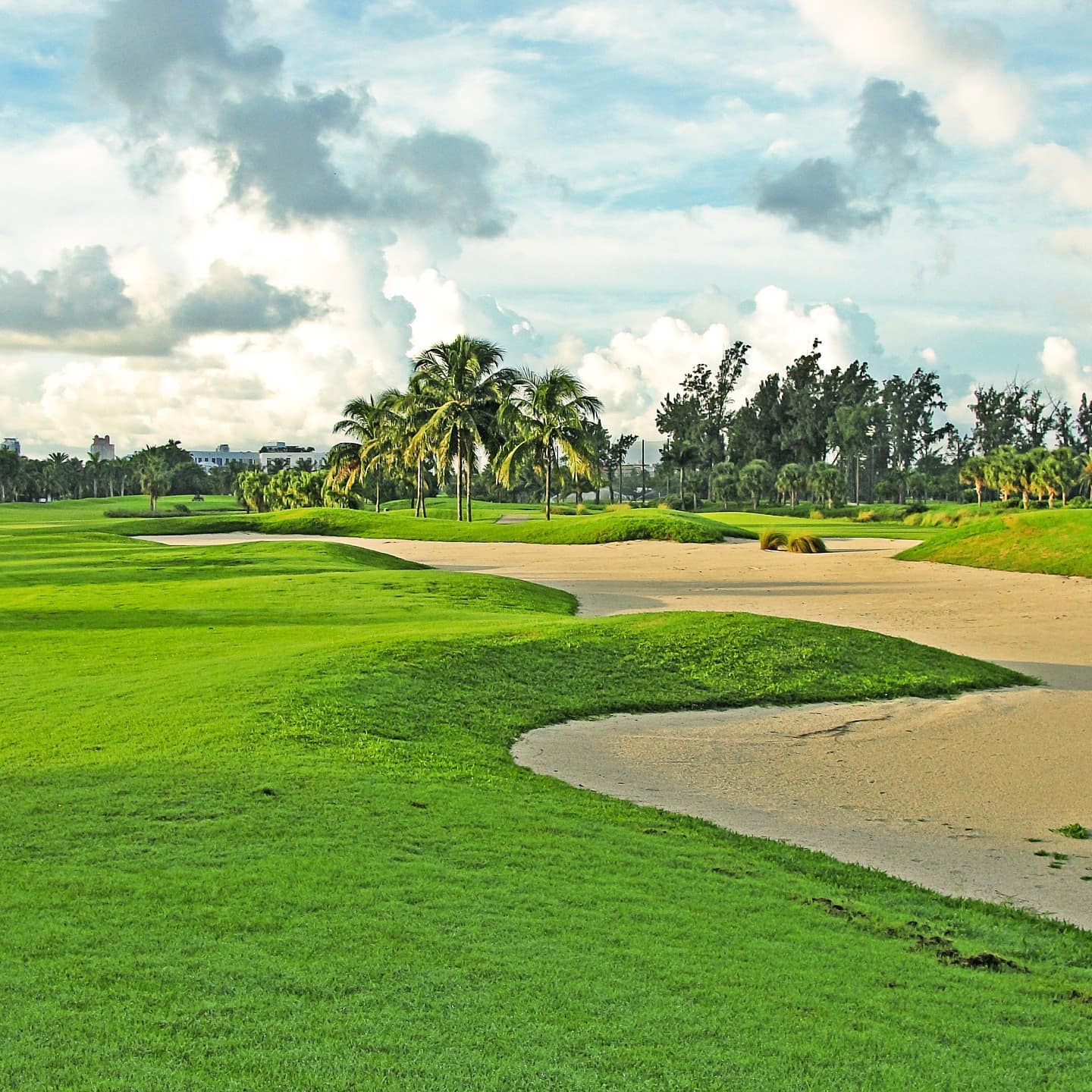 Golf green with sand traps and palm trees