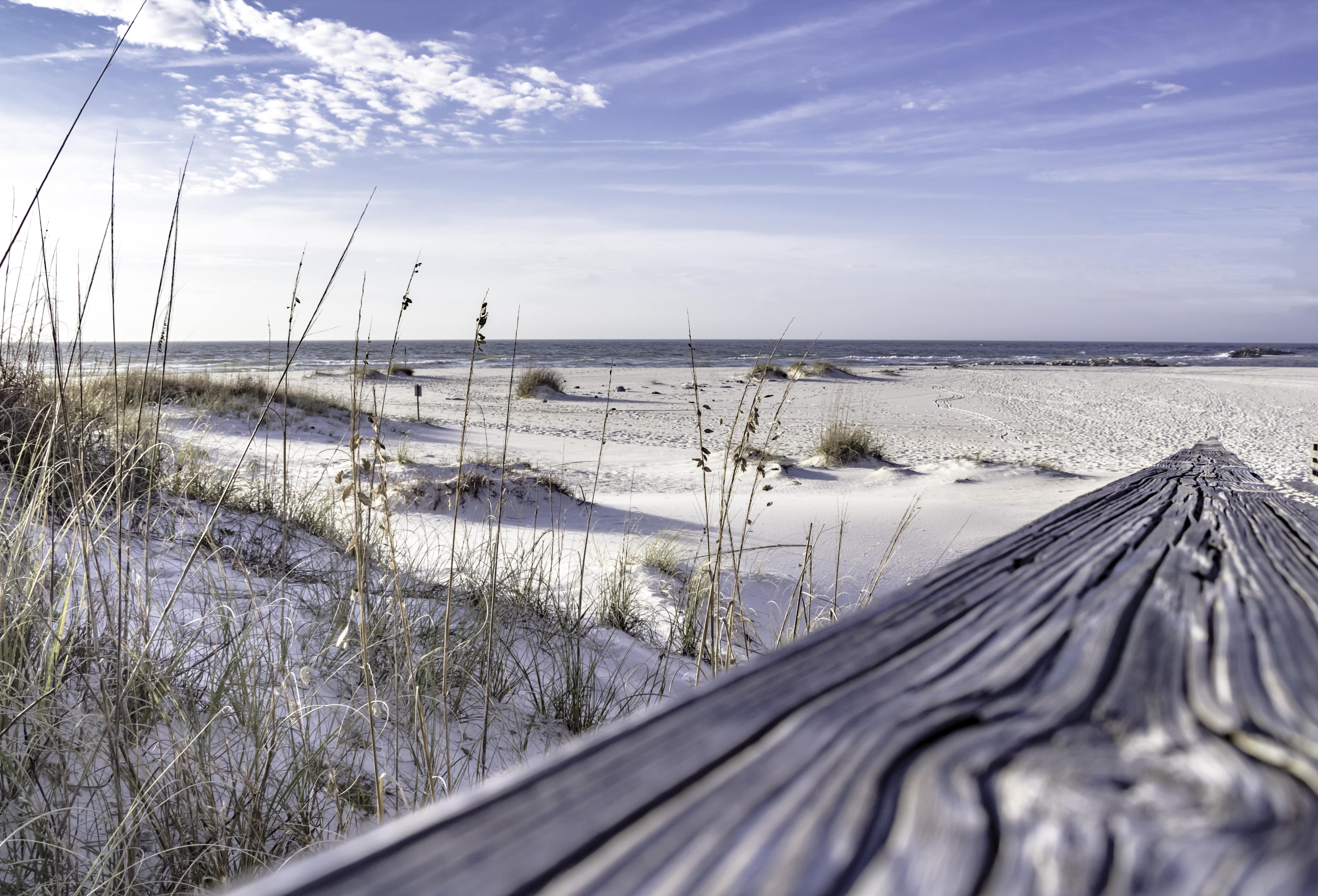 A grassy patch of sand kissed by rolling waves in Orange Beach