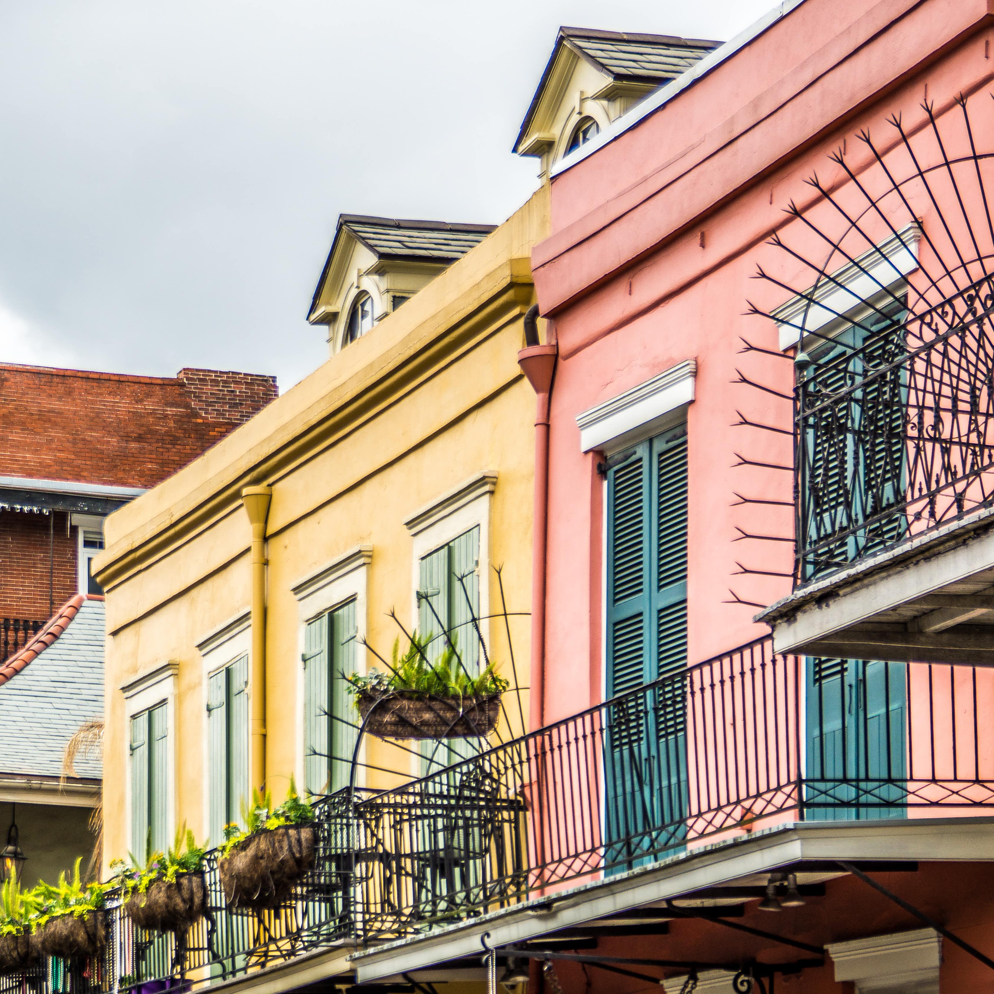 Colorful houses along a New Orleans street