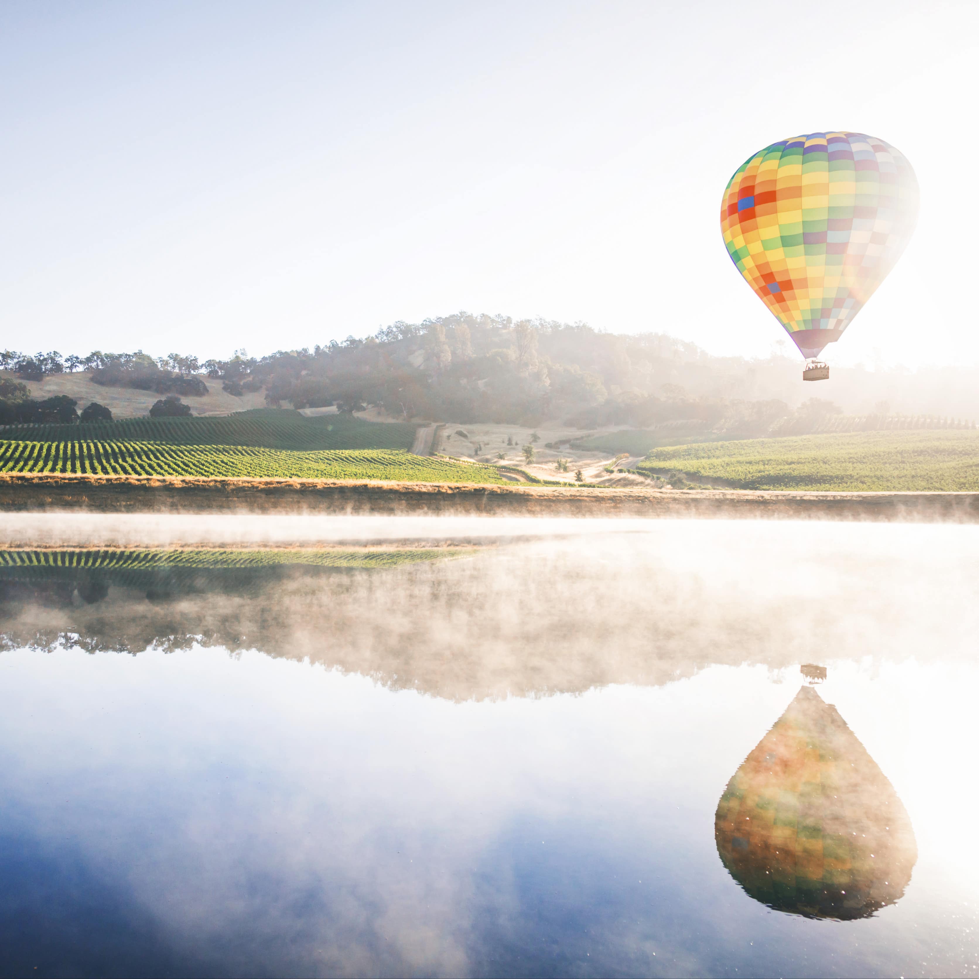 Hot-air balloon rising over a vineyard in Napa Valley