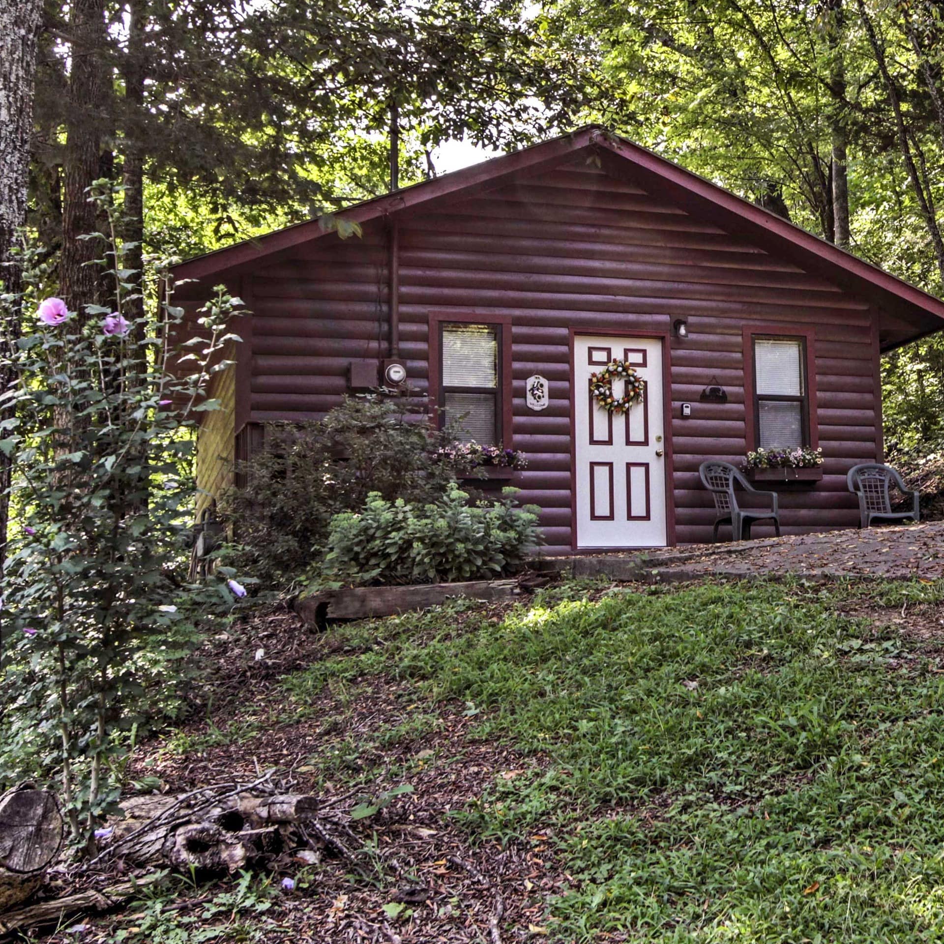 Cozy mountain cabin rental in the woods in Pigeon Forge, Tennessee