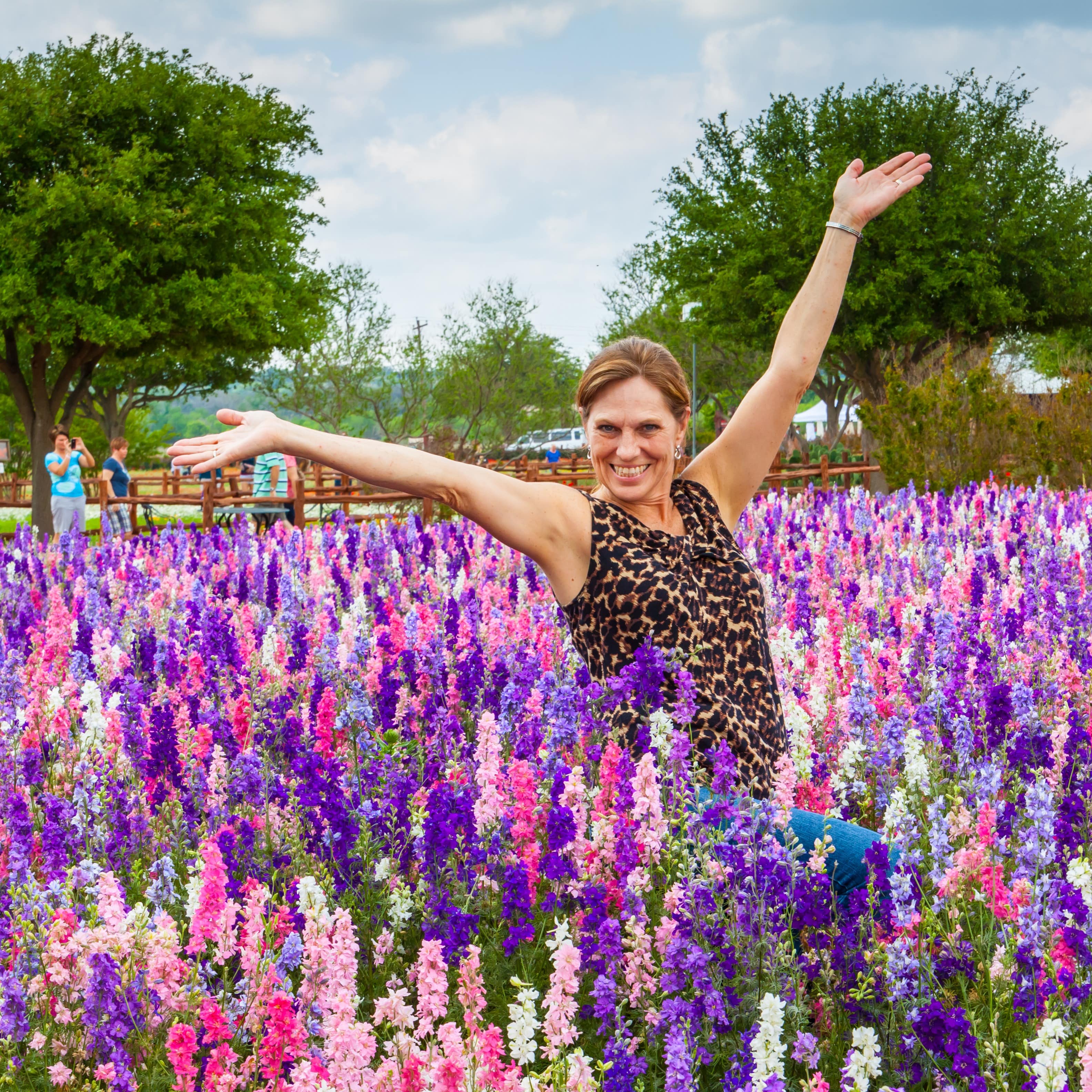 Woman with hands in air in a field of lupin (lupinus), Fredericksburg, Texas
