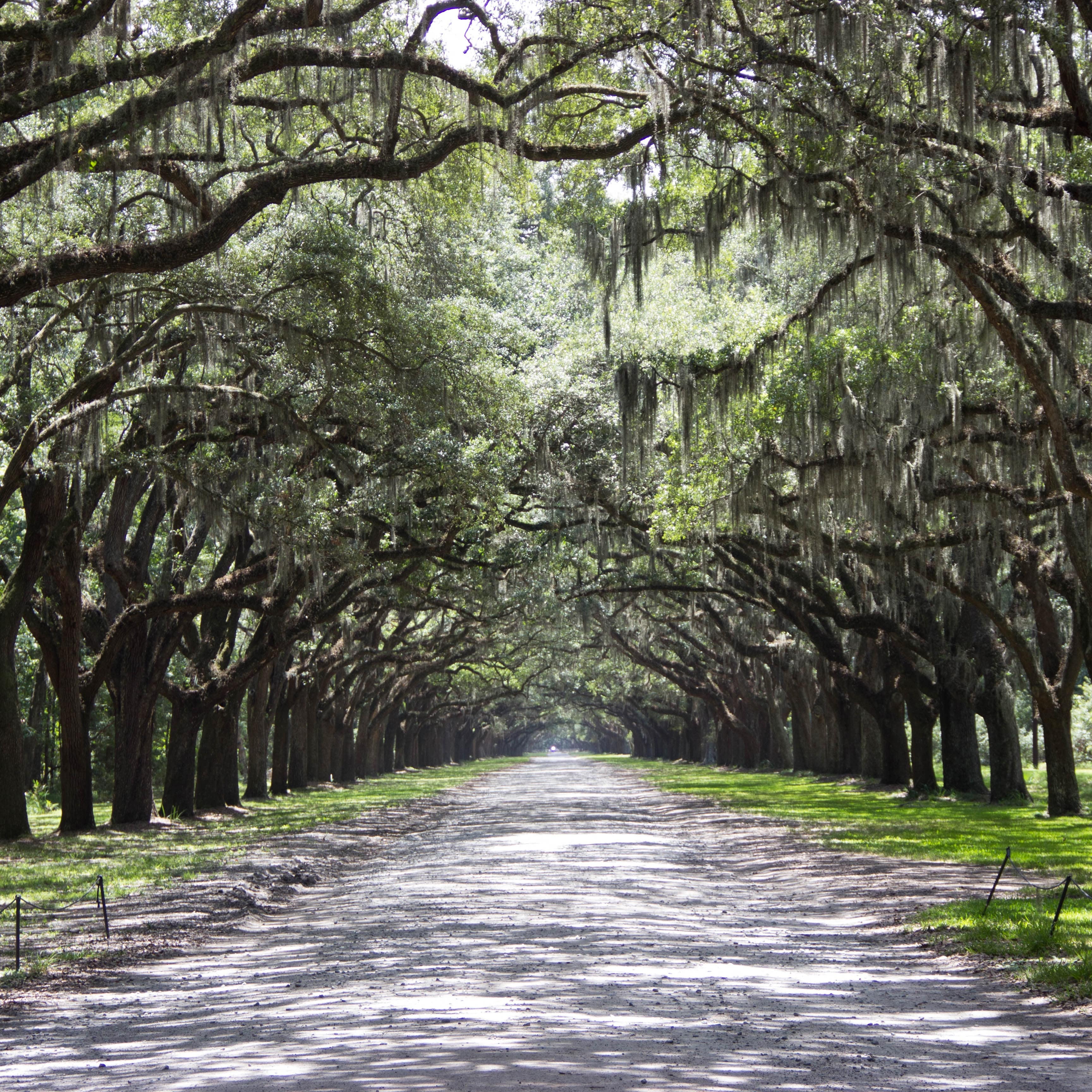 Romantic things to do in savannah