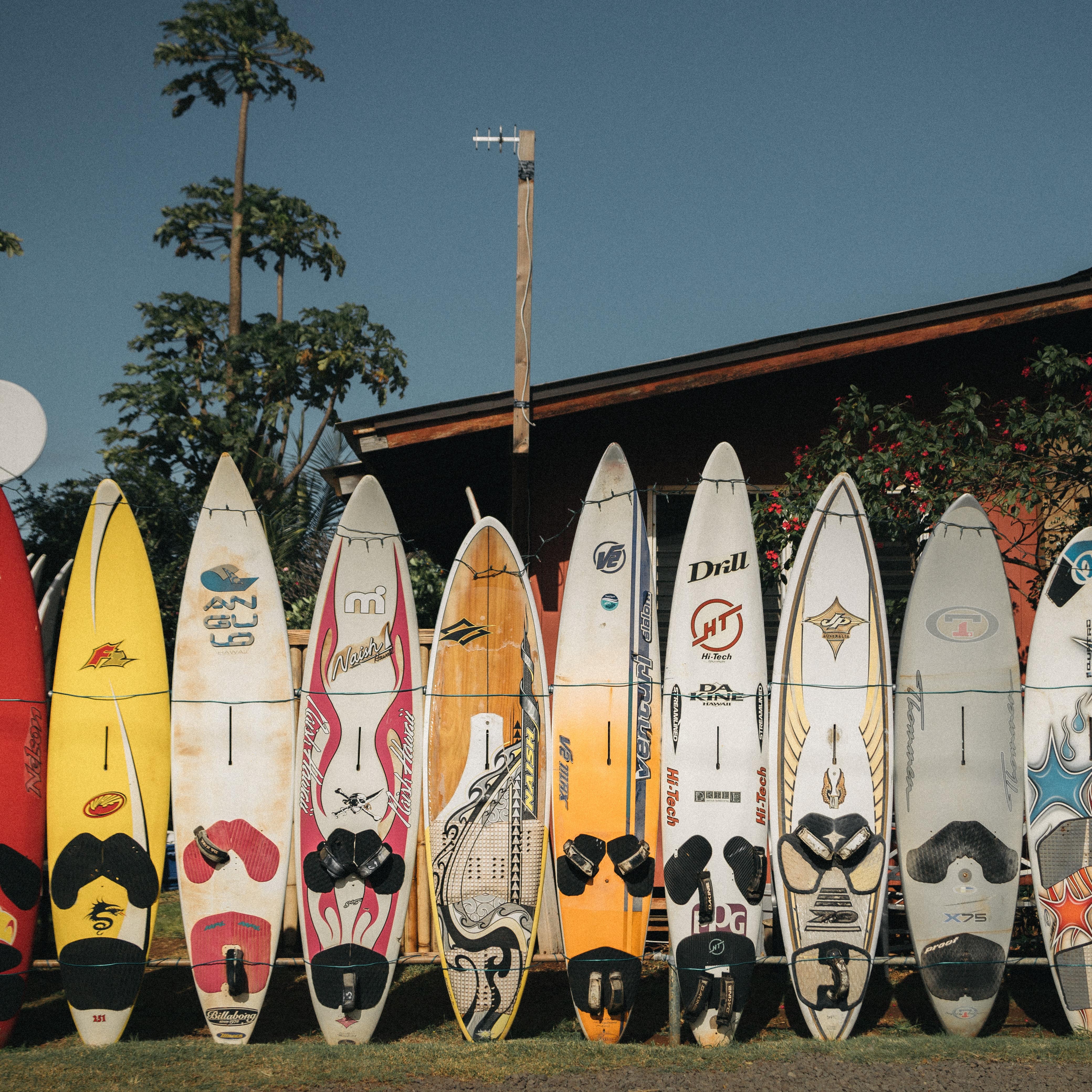 Surfboards are lined up and ready to go in Maui, Hawaii