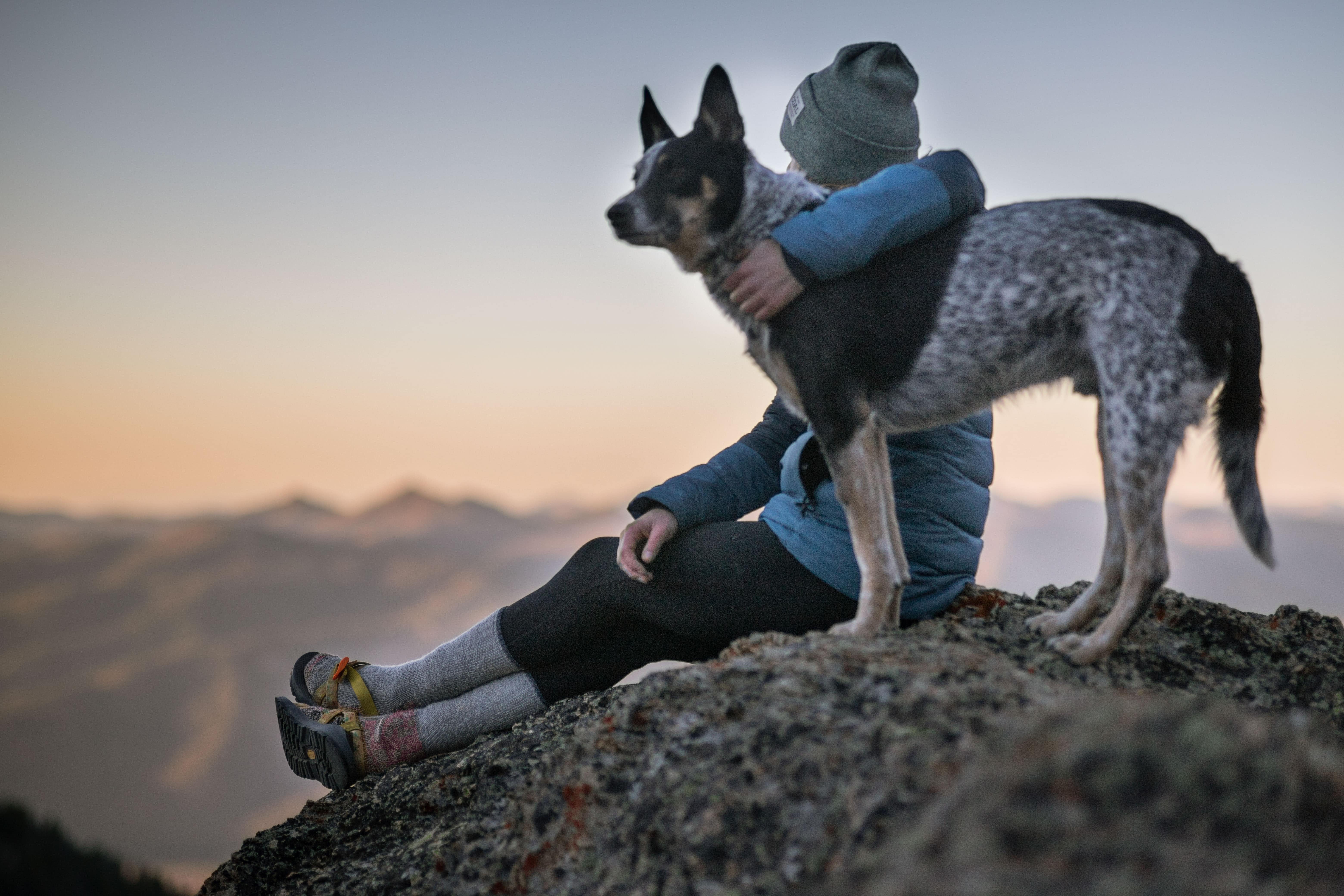 Stock image - Woman and pet dog sitting on a mountain - pets holiday - Photo by Bekka Mongeau from Pexels