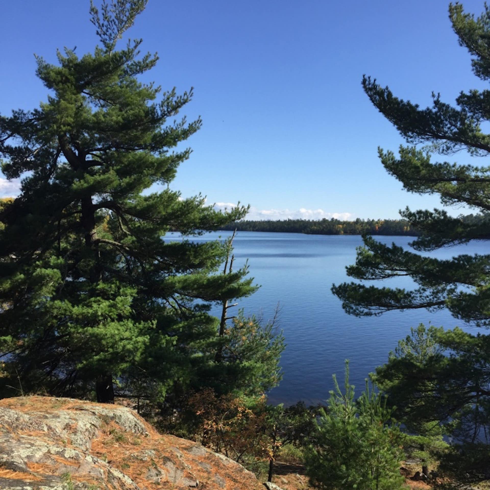 A view of Rainy Lake from its wooded shoreline