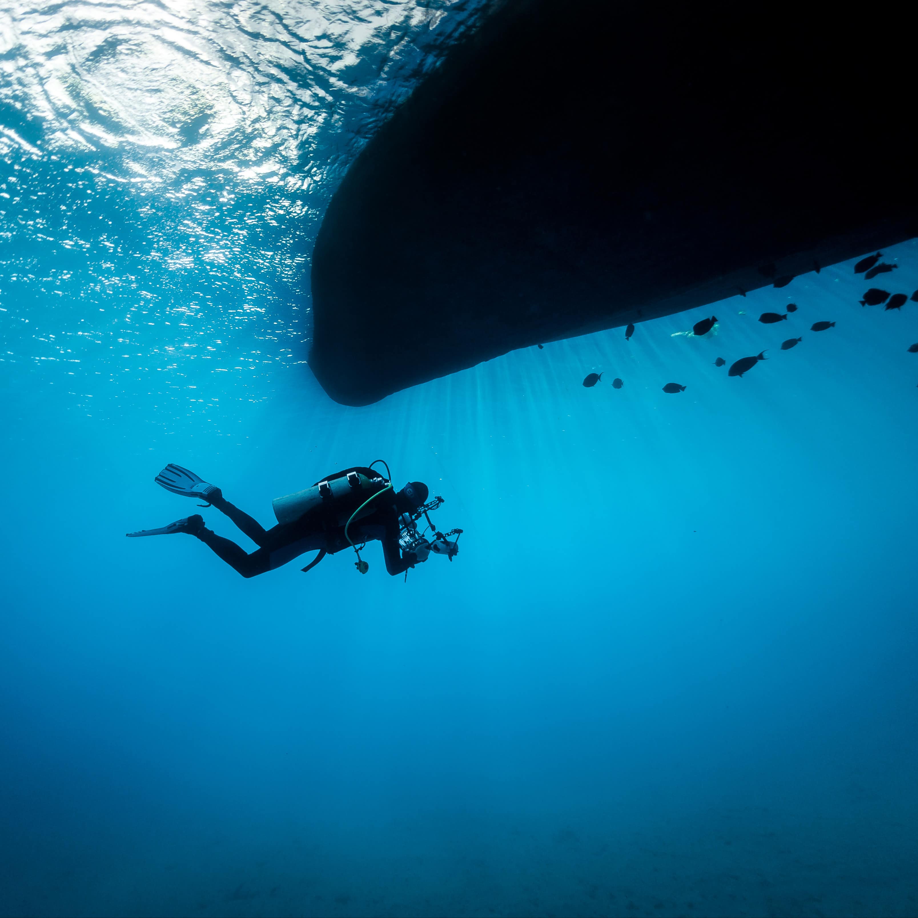 A person scuba diving under a ship in Egypt's Red Sea