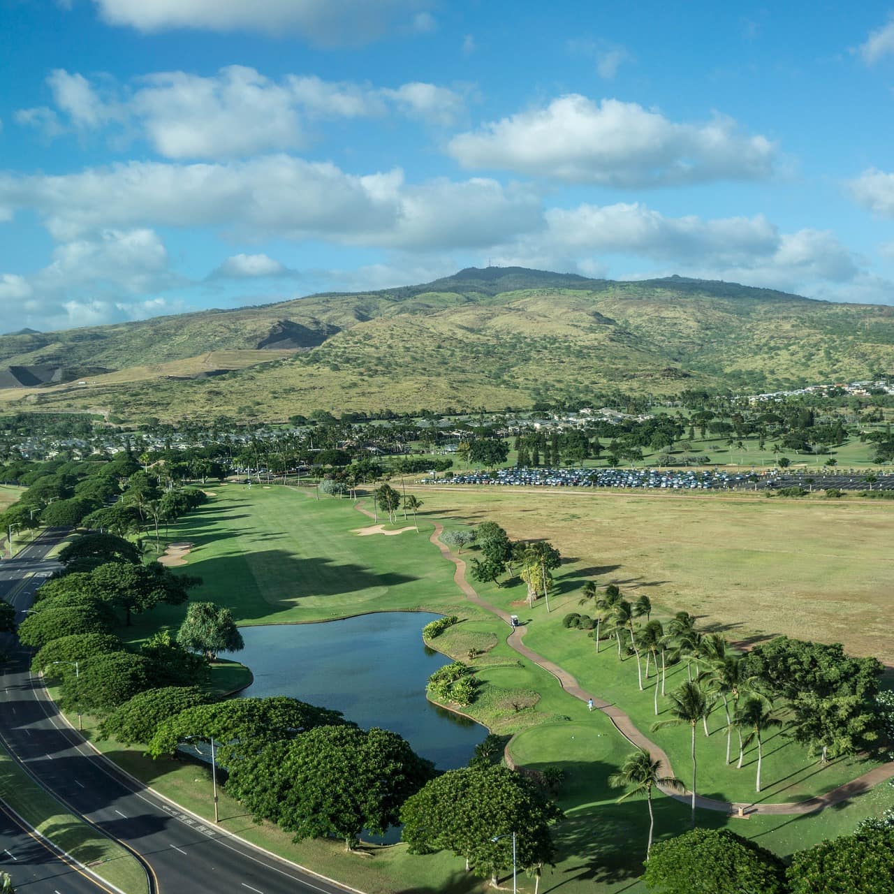 A tree-lined fairway with a mountain in the background.