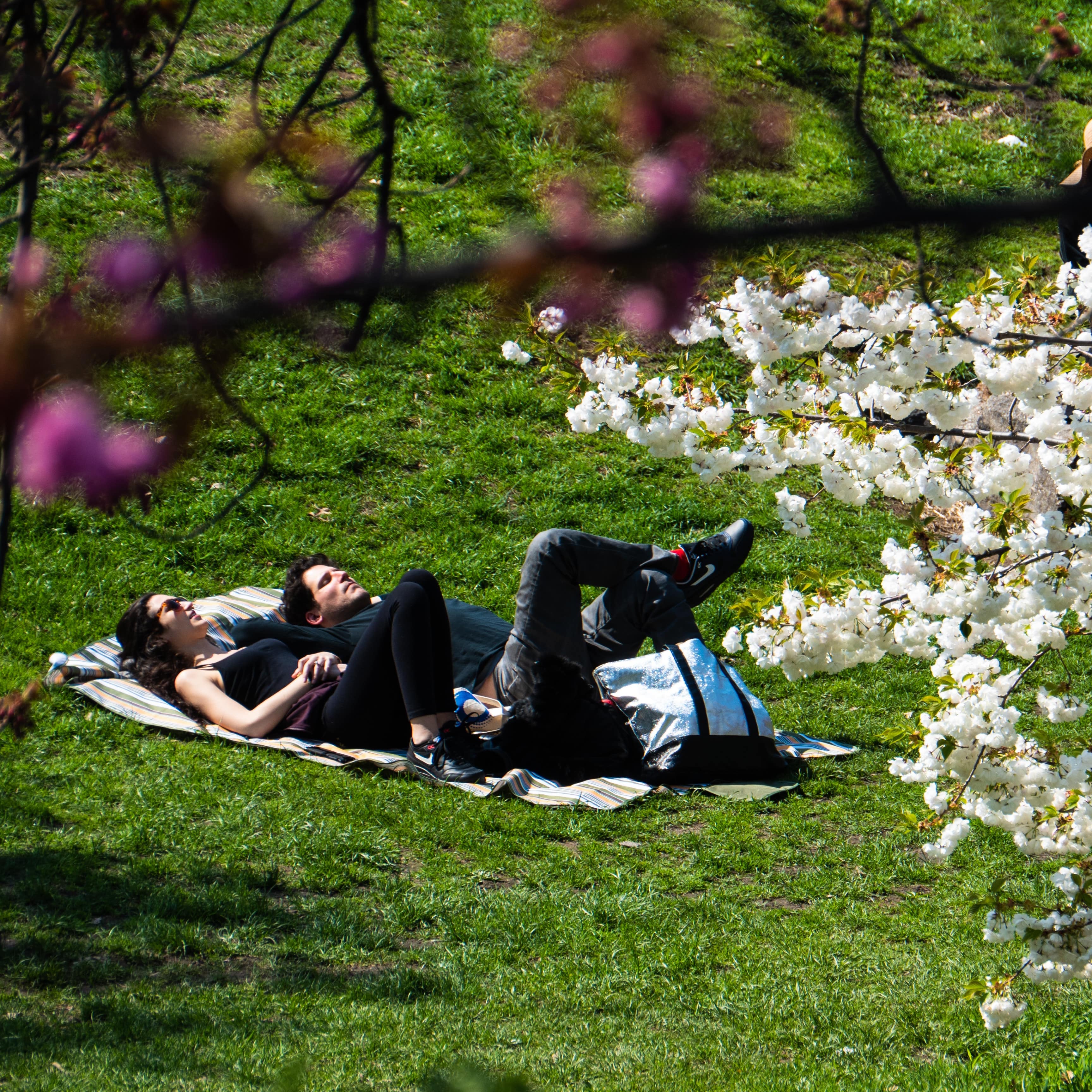 Couple lying on a picnic blanket and sunbathing in New York City’s Central Park