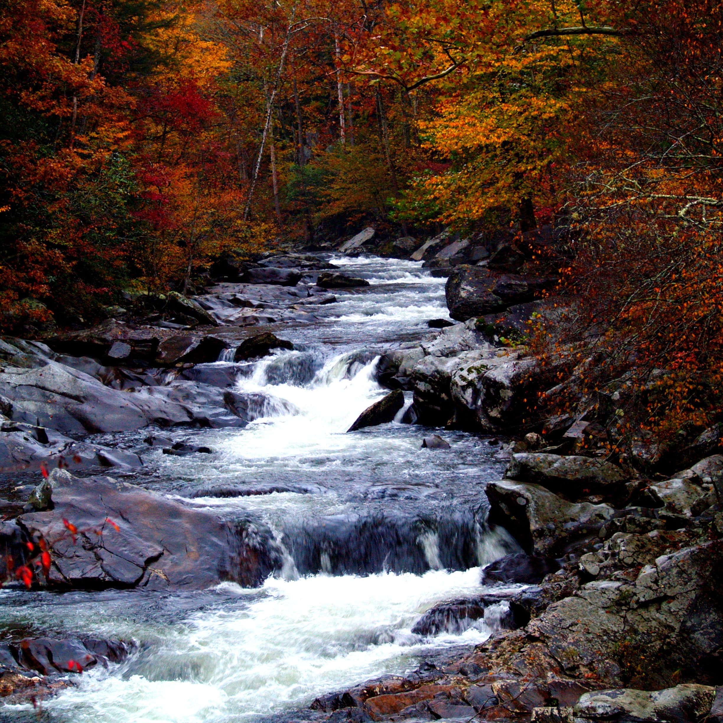 River surrounded by fall foliage in Tennessee