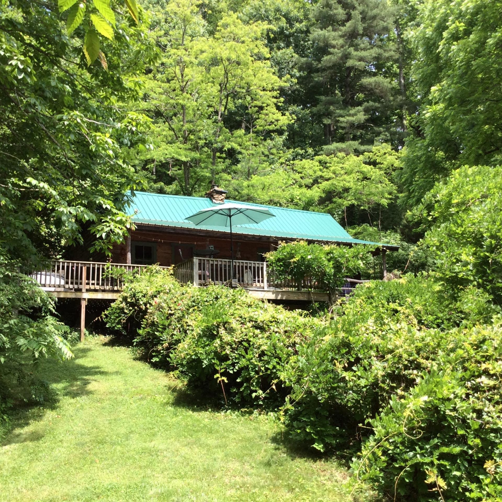 Secluded cabin rental with spacious deck surrounded by lush greenery